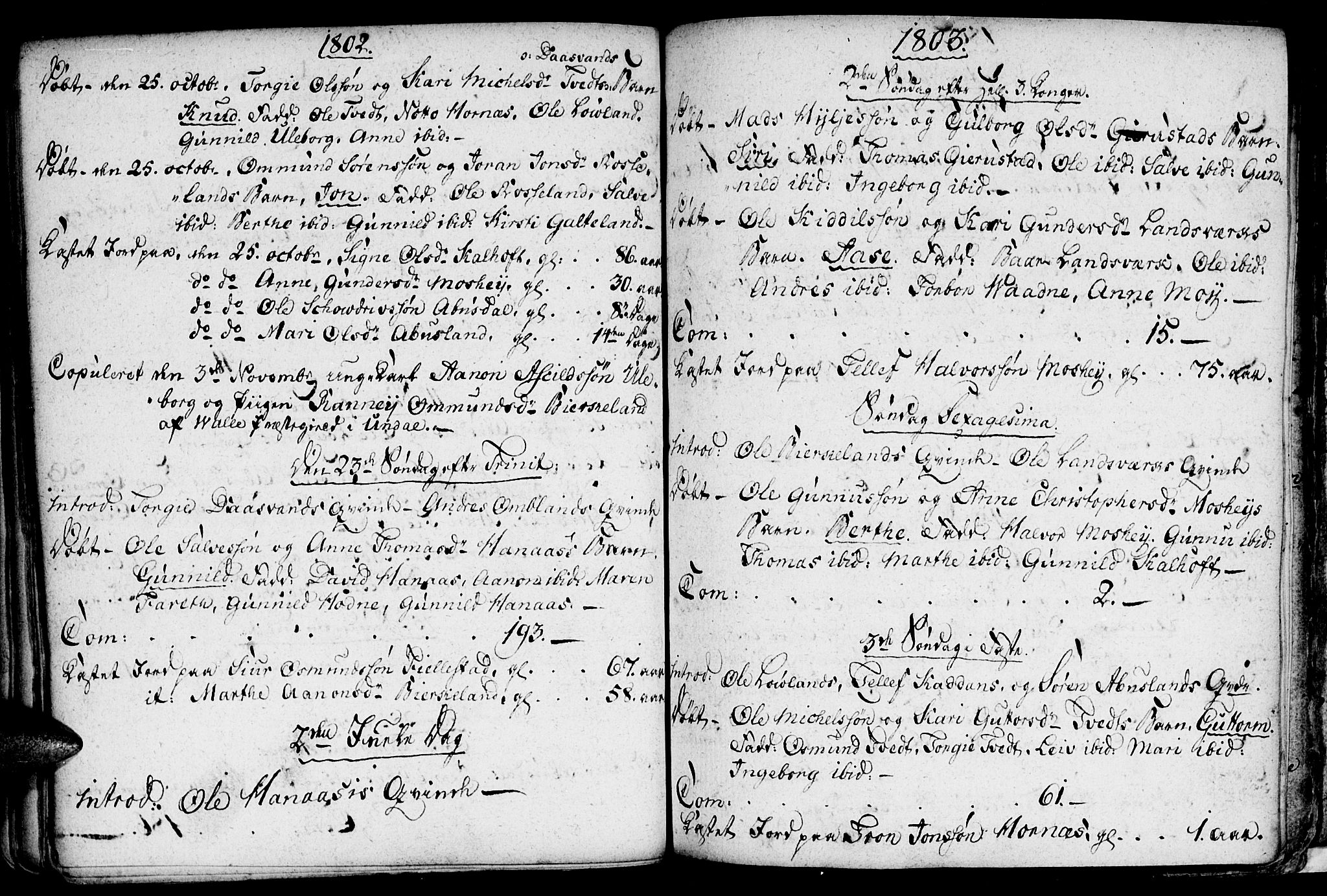 Evje sokneprestkontor, SAK/1111-0008/F/Fa/Fab/L0002: Parish register (official) no. A 2, 1765-1816, p. 101