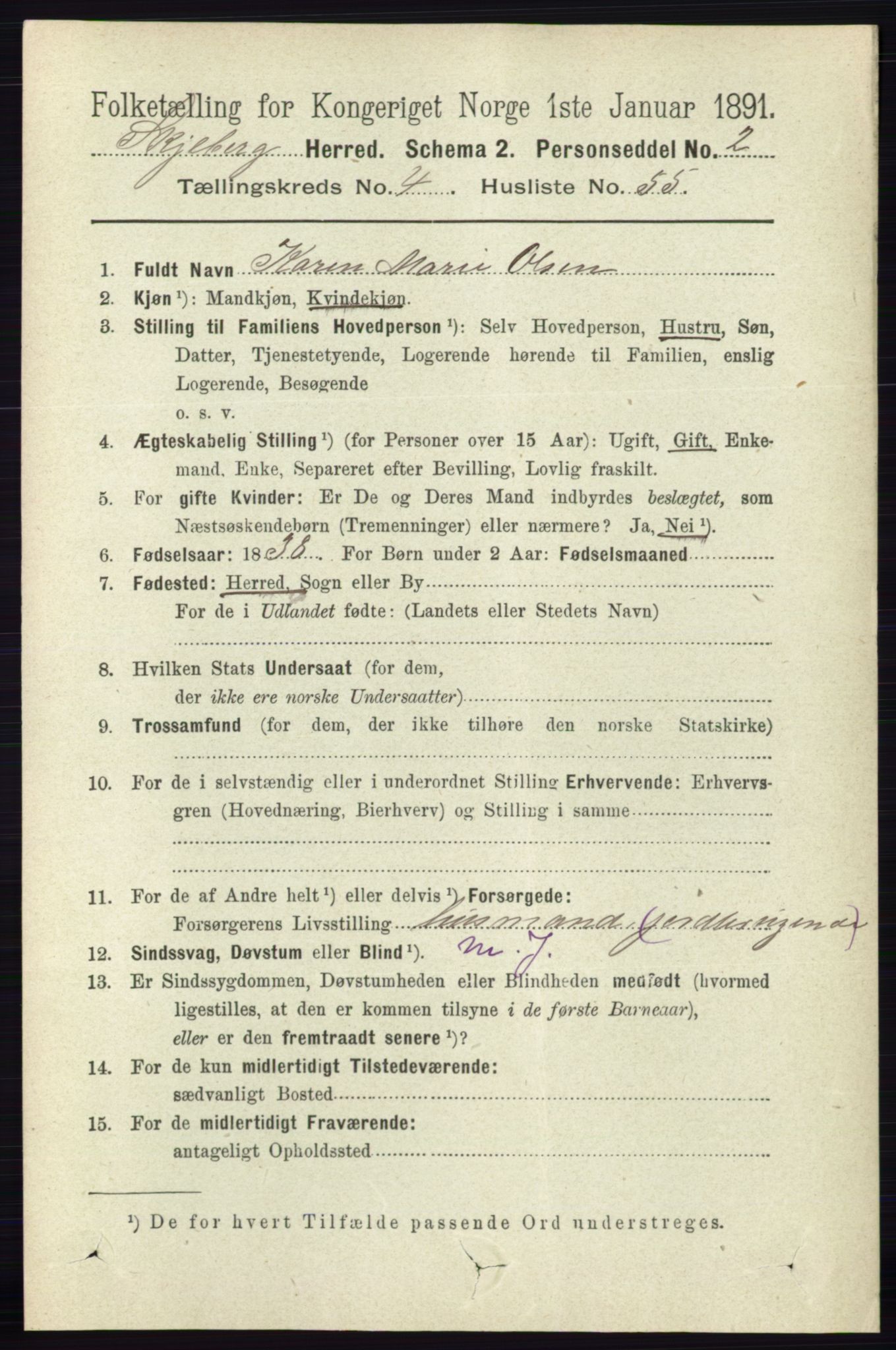 RA, 1891 census for 0115 Skjeberg, 1891, p. 2185