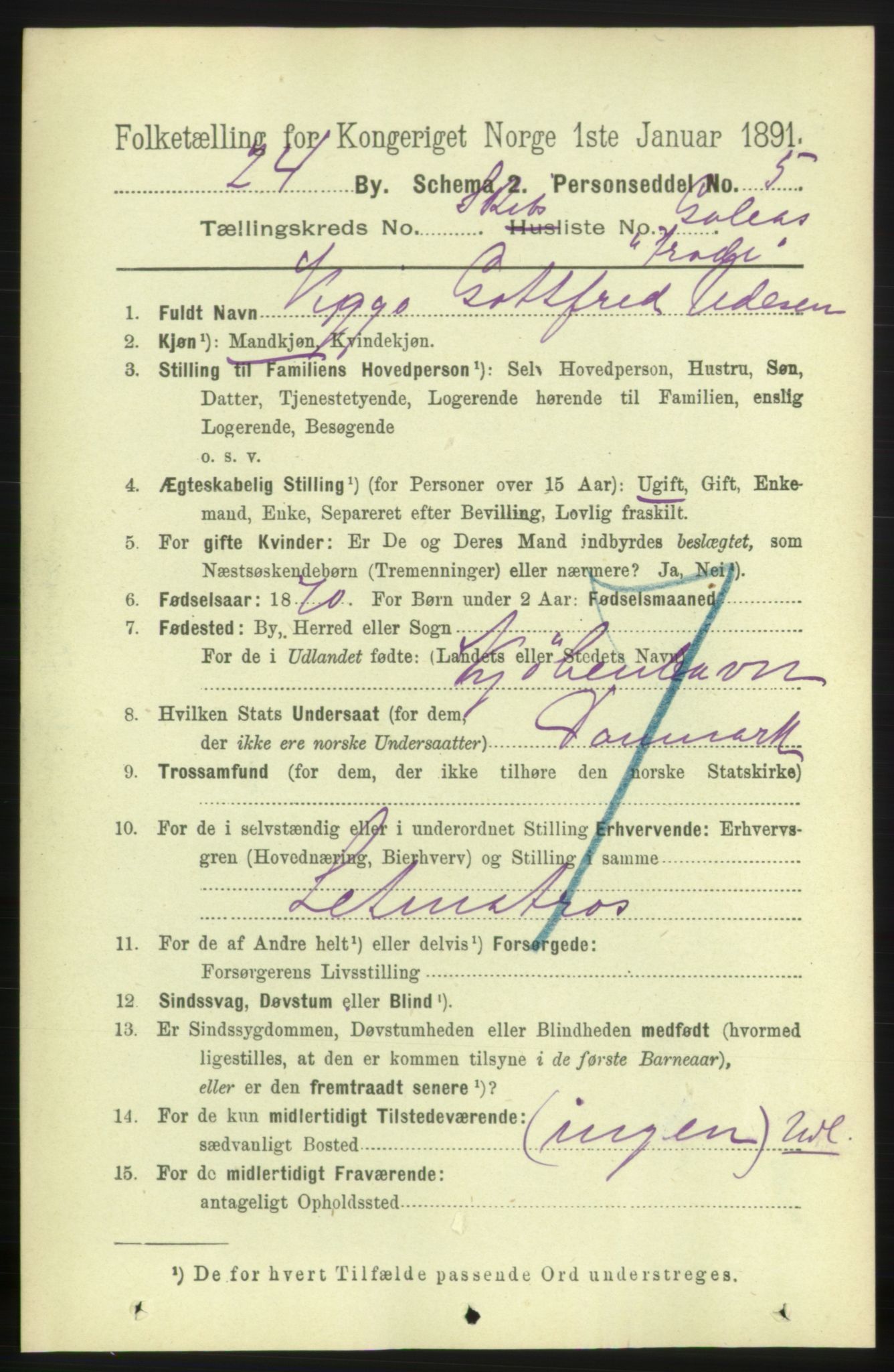 RA, 1891 census for 0707 Larvik, 1891, p. 13951