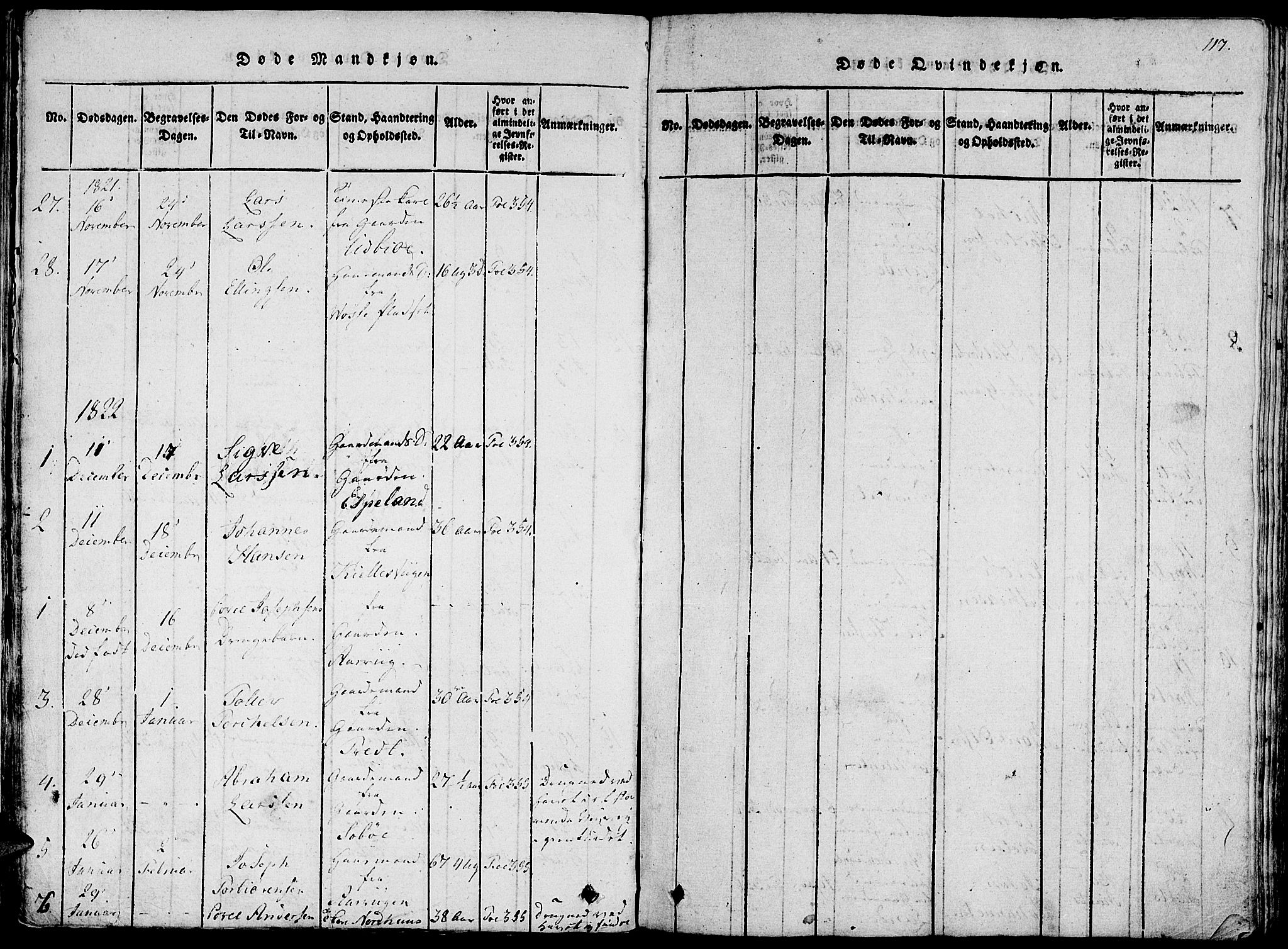 Fjelberg sokneprestembete, AV/SAB-A-75201/H/Haa: Parish register (official) no. A 4, 1816-1822, p. 117