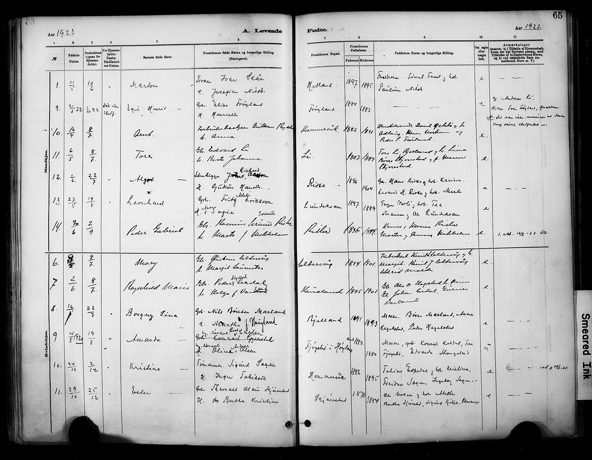 Hetland sokneprestkontor, AV/SAST-A-101826/30/30BA/L0010: Parish register (official) no. A 10, 1882-1925, p. 65