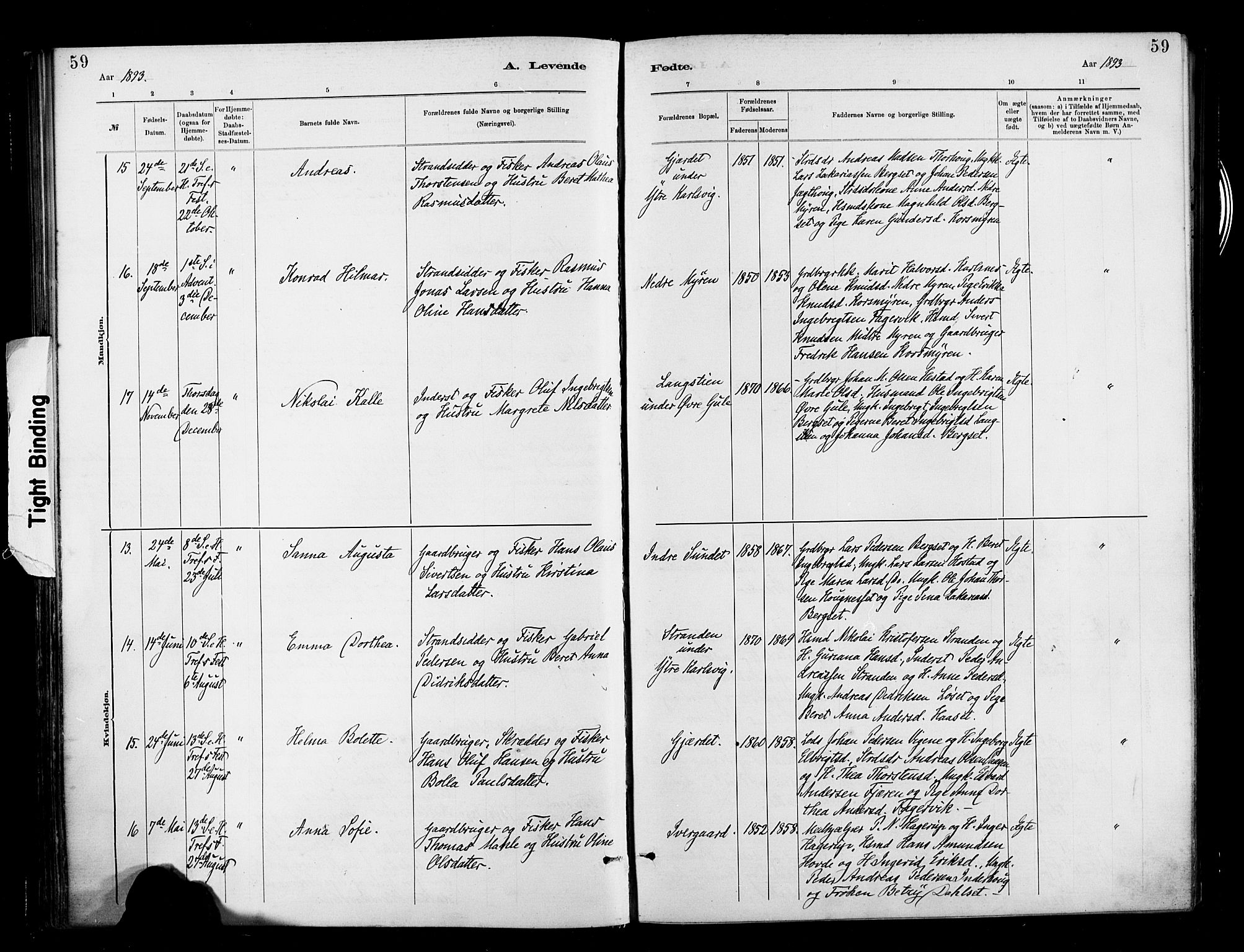 Ministerialprotokoller, klokkerbøker og fødselsregistre - Møre og Romsdal, AV/SAT-A-1454/566/L0769: Parish register (official) no. 566A08, 1881-1903, p. 59