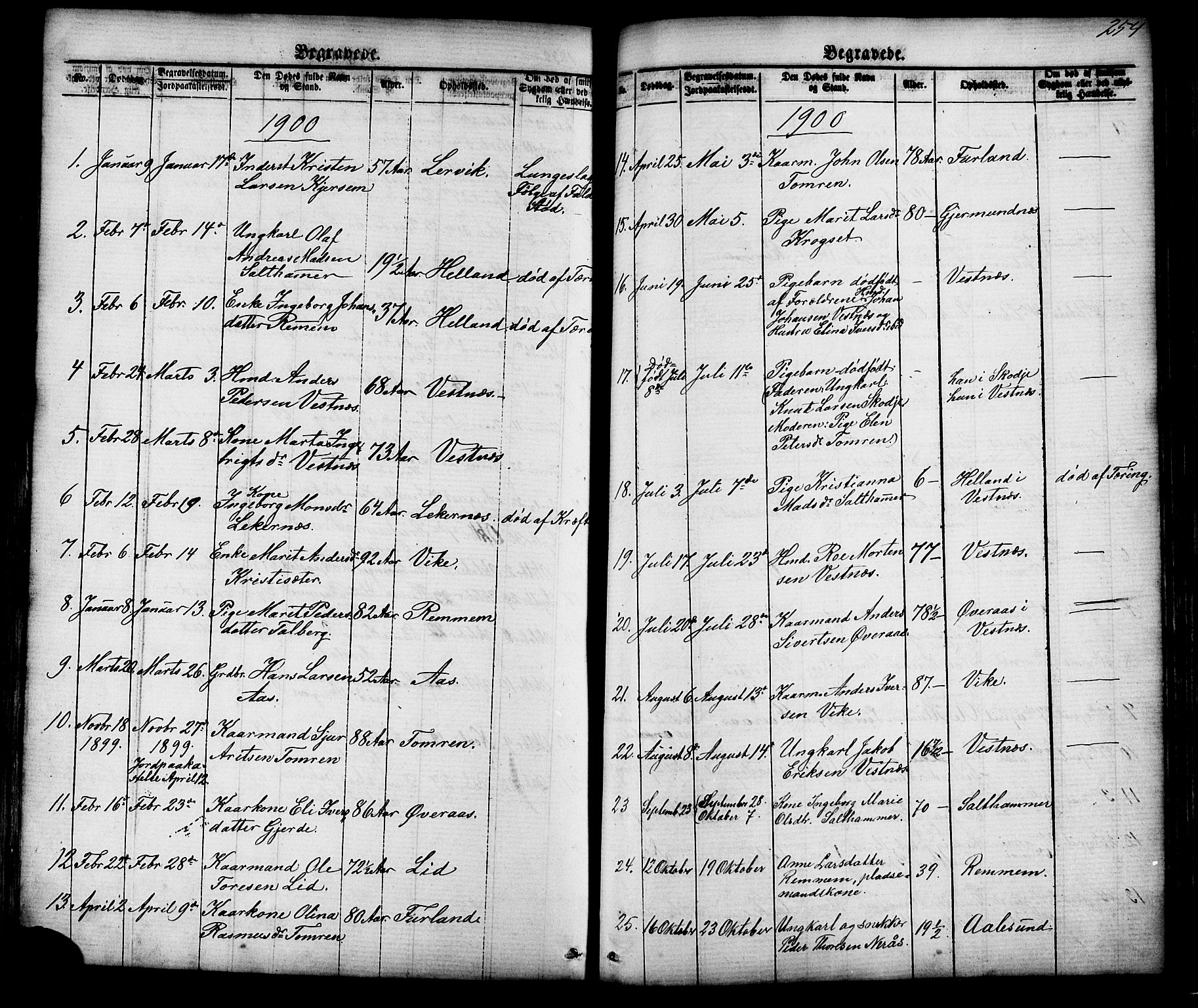 Ministerialprotokoller, klokkerbøker og fødselsregistre - Møre og Romsdal, AV/SAT-A-1454/539/L0536: Parish register (copy) no. 539C02, 1867-1913, p. 254