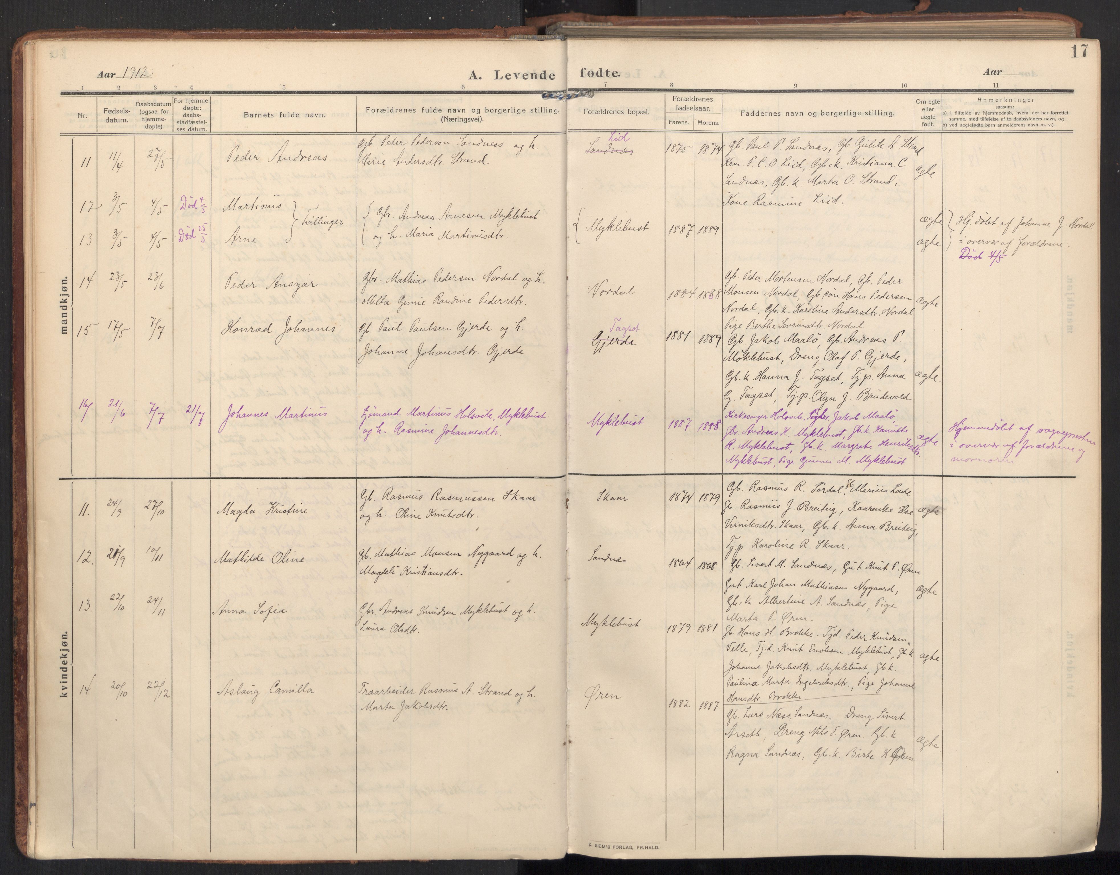 Ministerialprotokoller, klokkerbøker og fødselsregistre - Møre og Romsdal, SAT/A-1454/502/L0026: Parish register (official) no. 502A04, 1909-1933, p. 17