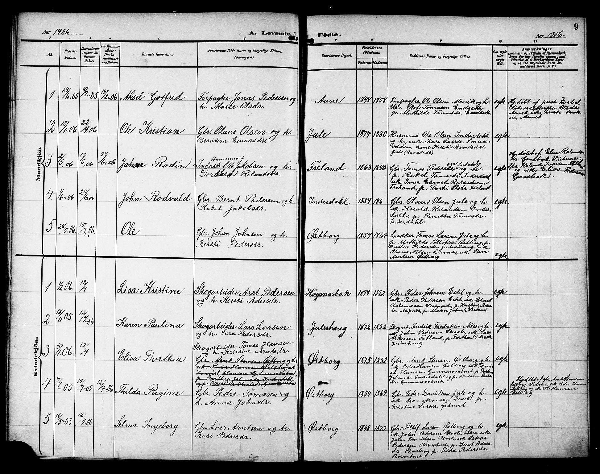 Ministerialprotokoller, klokkerbøker og fødselsregistre - Nord-Trøndelag, SAT/A-1458/757/L0506: Parish register (copy) no. 757C01, 1904-1922, p. 9