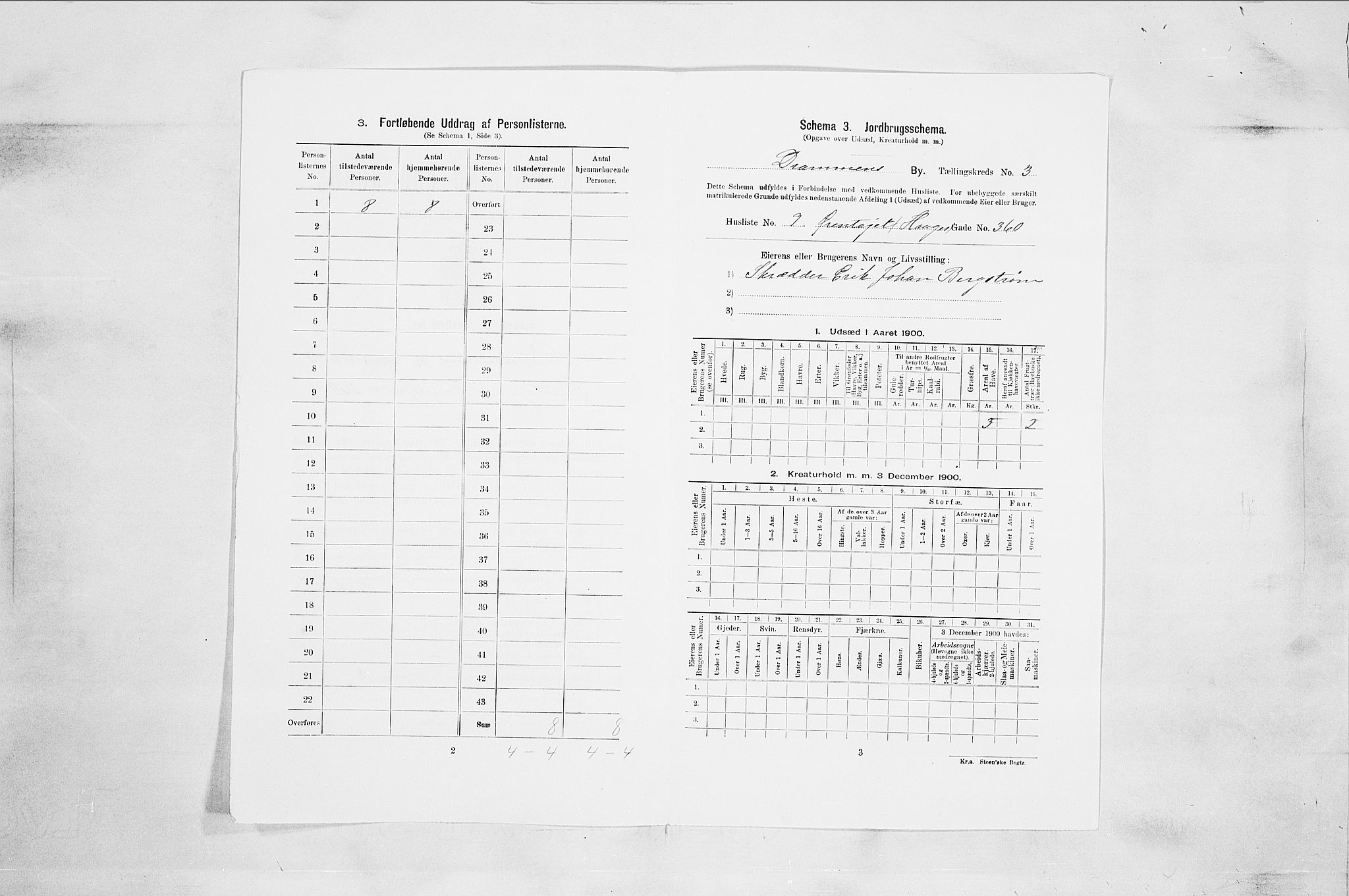 RA, 1900 census for Drammen, 1900, p. 889