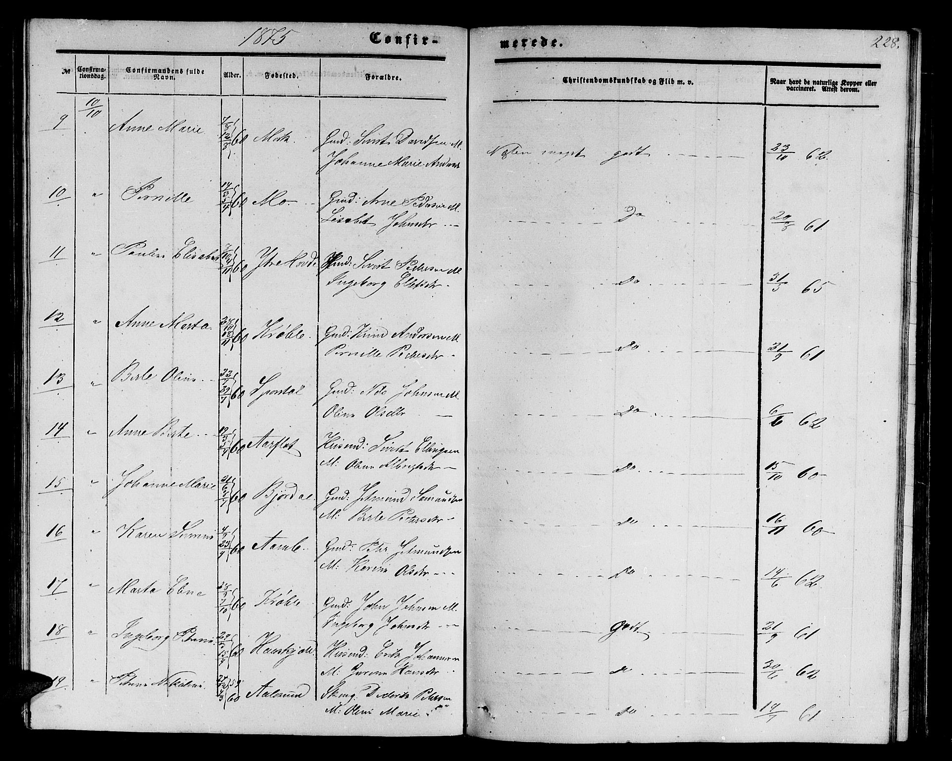 Ministerialprotokoller, klokkerbøker og fødselsregistre - Møre og Romsdal, AV/SAT-A-1454/513/L0188: Parish register (copy) no. 513C02, 1865-1882, p. 228