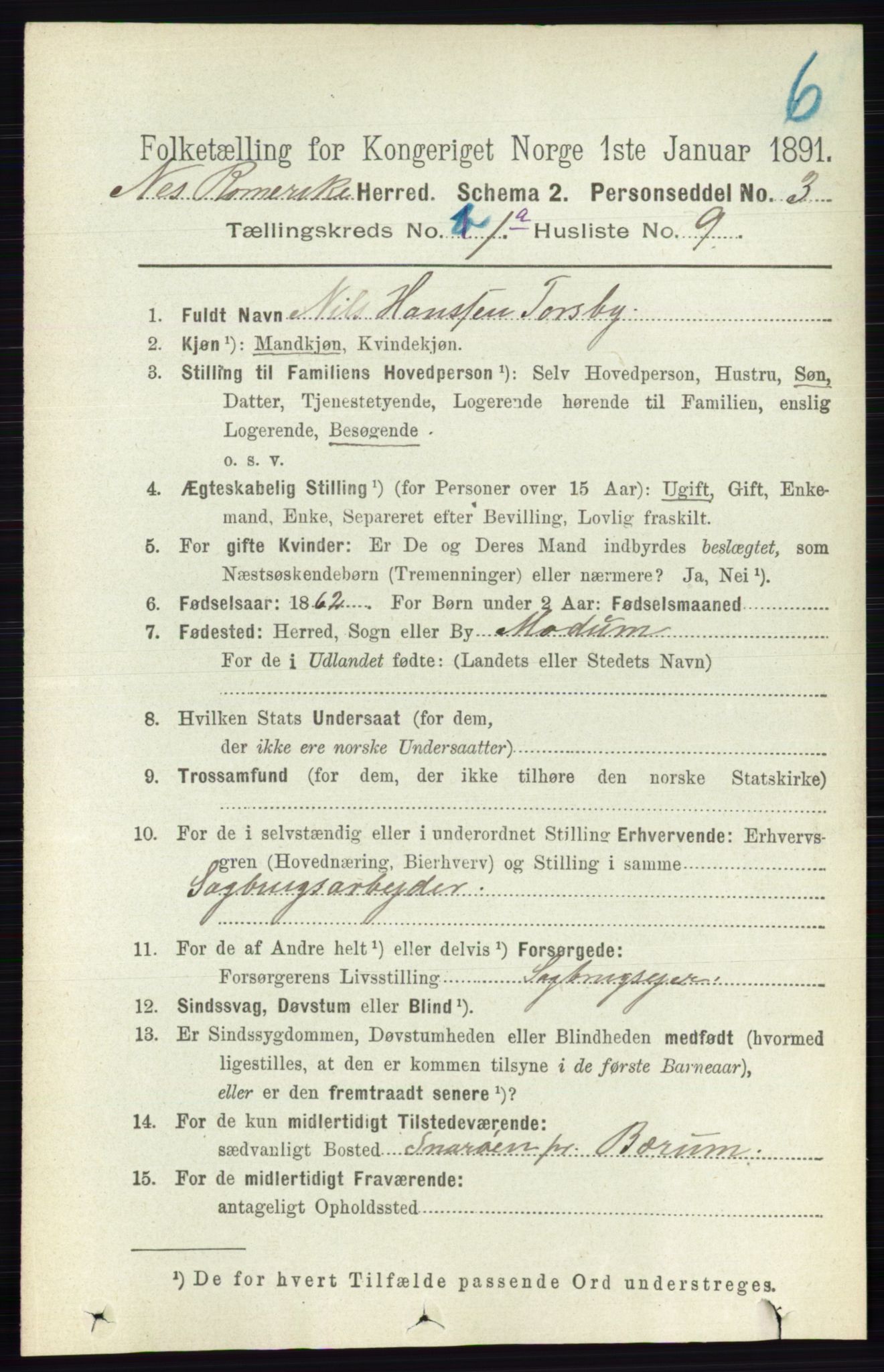 RA, 1891 census for 0236 Nes, 1891, p. 166
