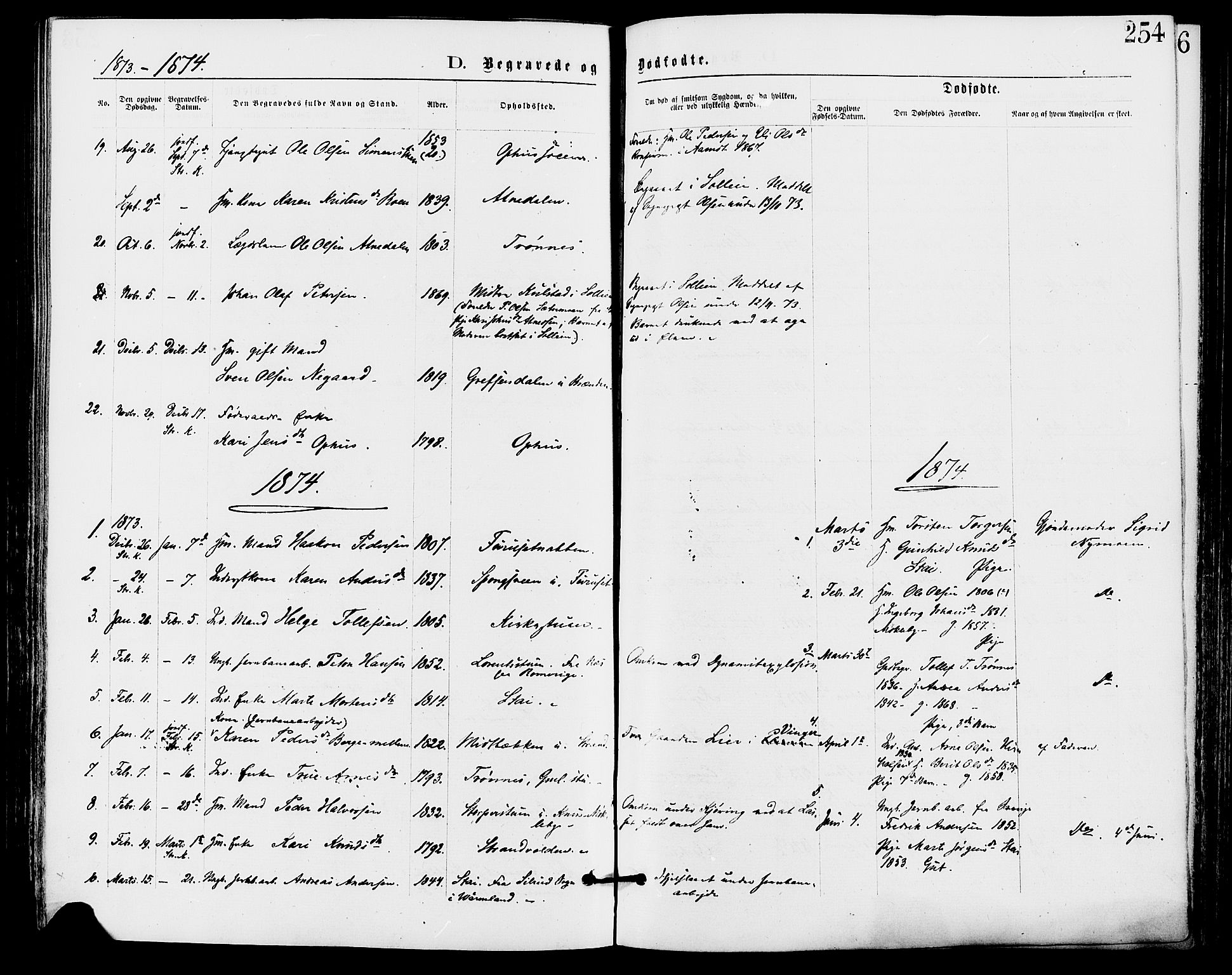 Stor-Elvdal prestekontor, SAH/PREST-052/H/Ha/Haa/L0001: Parish register (official) no. 1, 1871-1882, p. 254