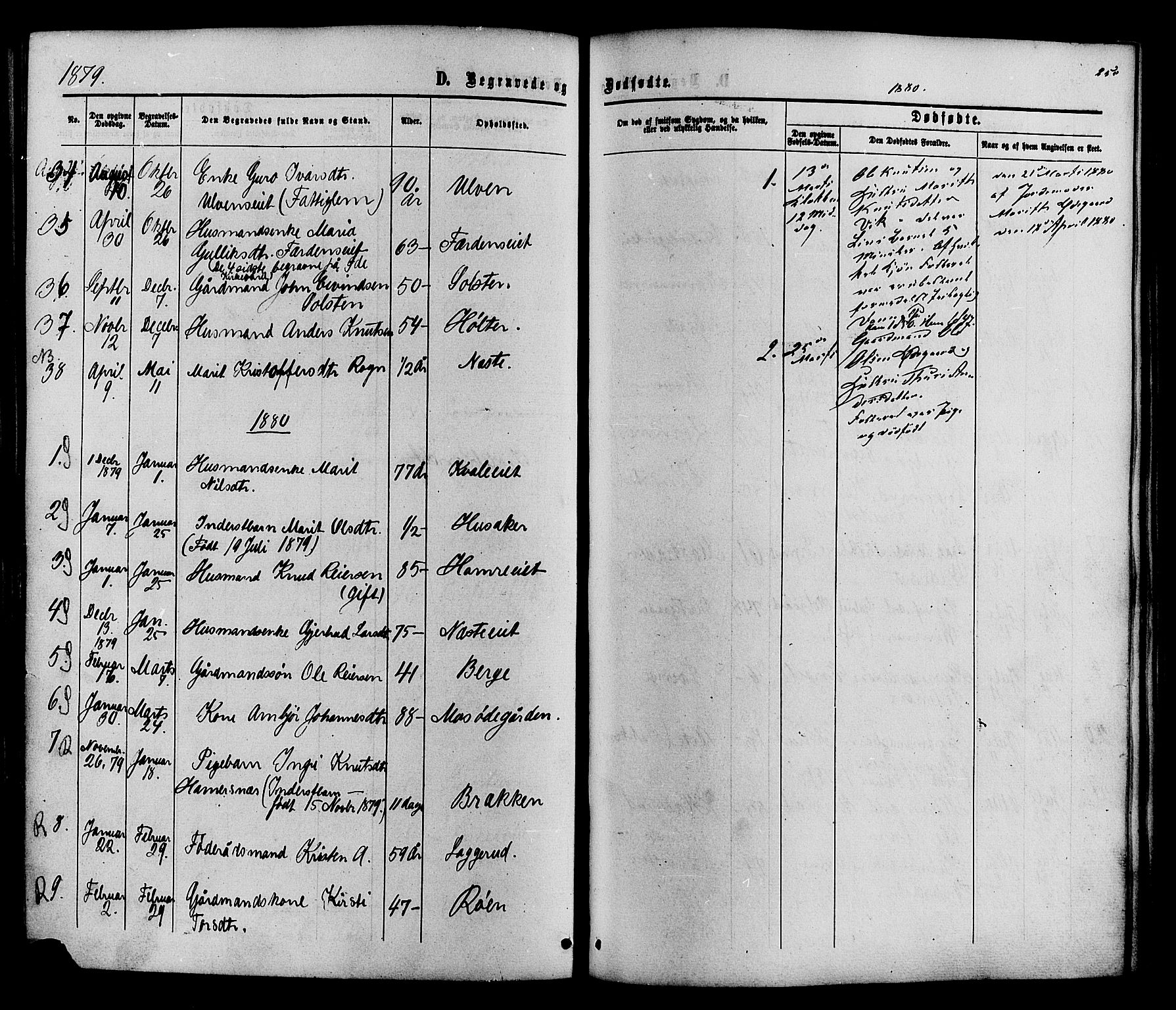 Vestre Slidre prestekontor, SAH/PREST-136/H/Ha/Haa/L0003: Parish register (official) no. 3, 1865-1880, p. 250