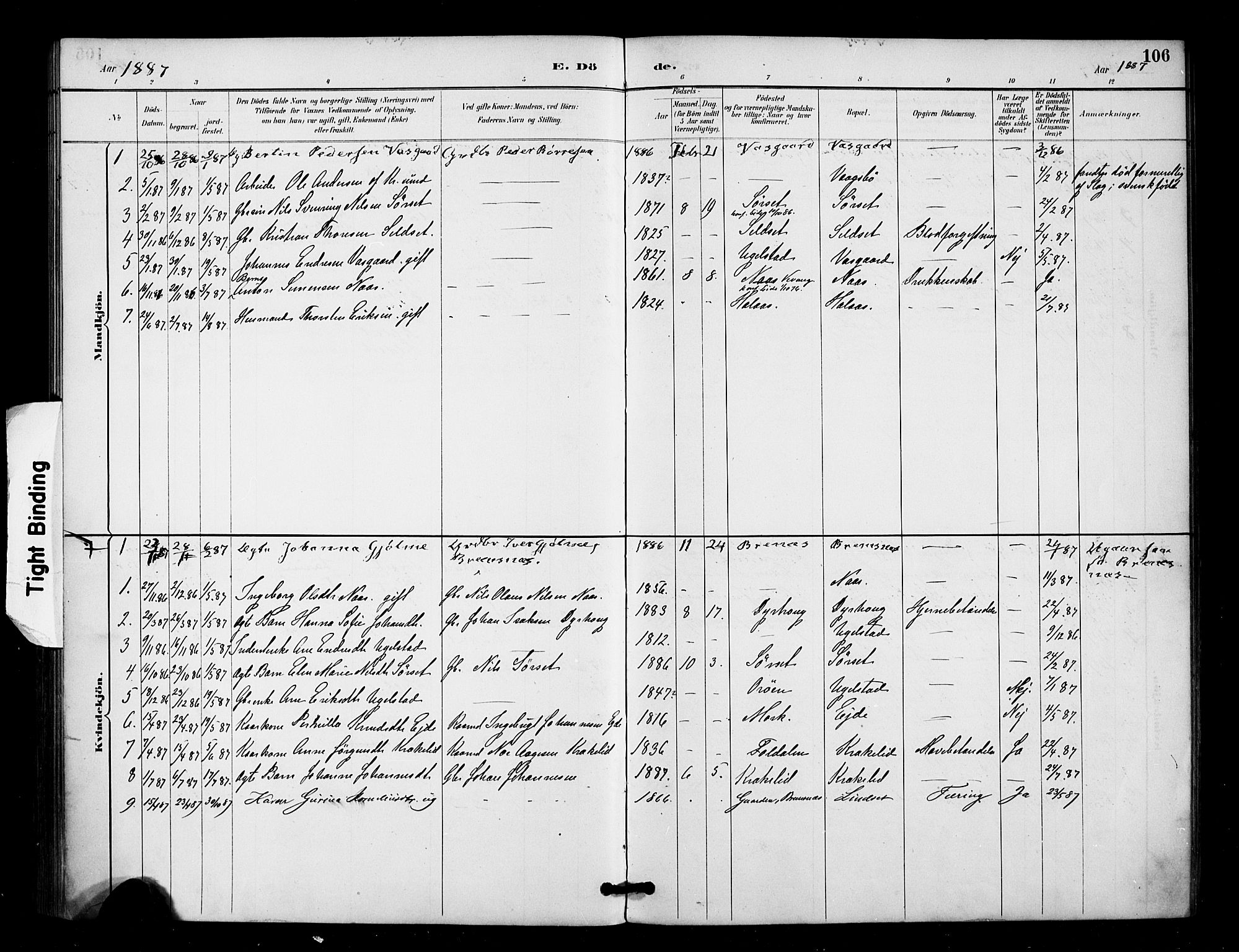 Ministerialprotokoller, klokkerbøker og fødselsregistre - Møre og Romsdal, AV/SAT-A-1454/571/L0836: Parish register (official) no. 571A01, 1884-1899, p. 106