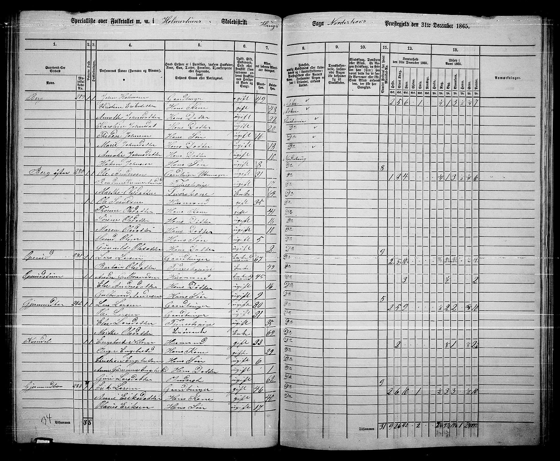 RA, 1865 census for Norderhov/Norderhov, Haug og Lunder, 1865, p. 225