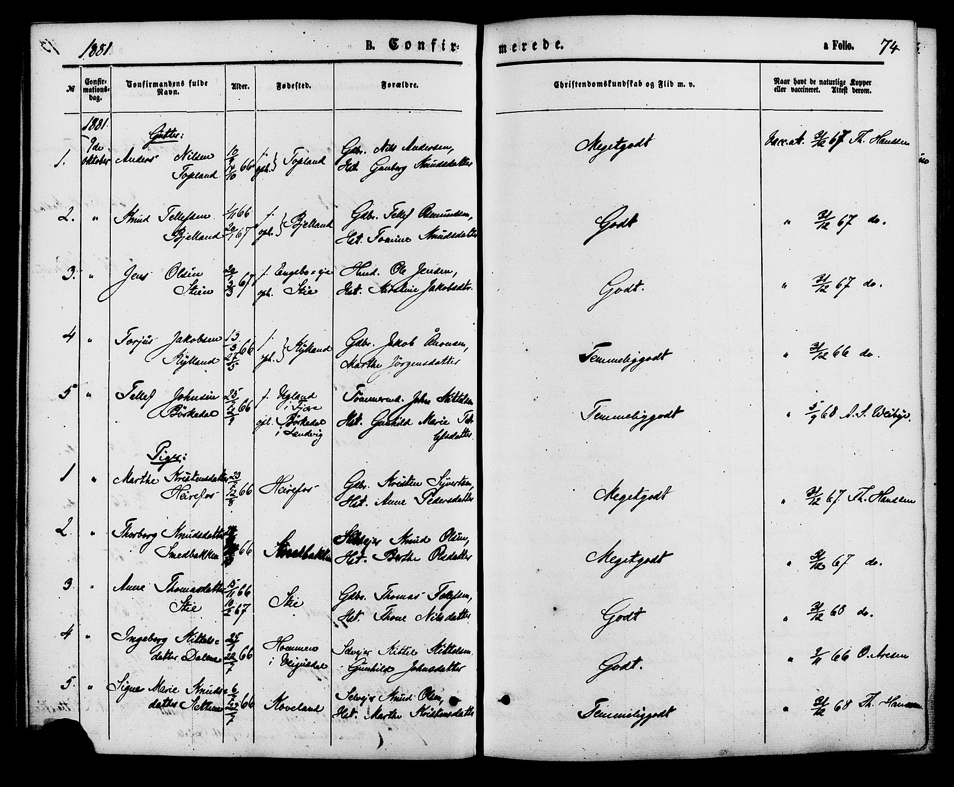 Herefoss sokneprestkontor, AV/SAK-1111-0019/F/Fa/Faa/L0002: Parish register (official) no. A 2, 1861-1886, p. 74