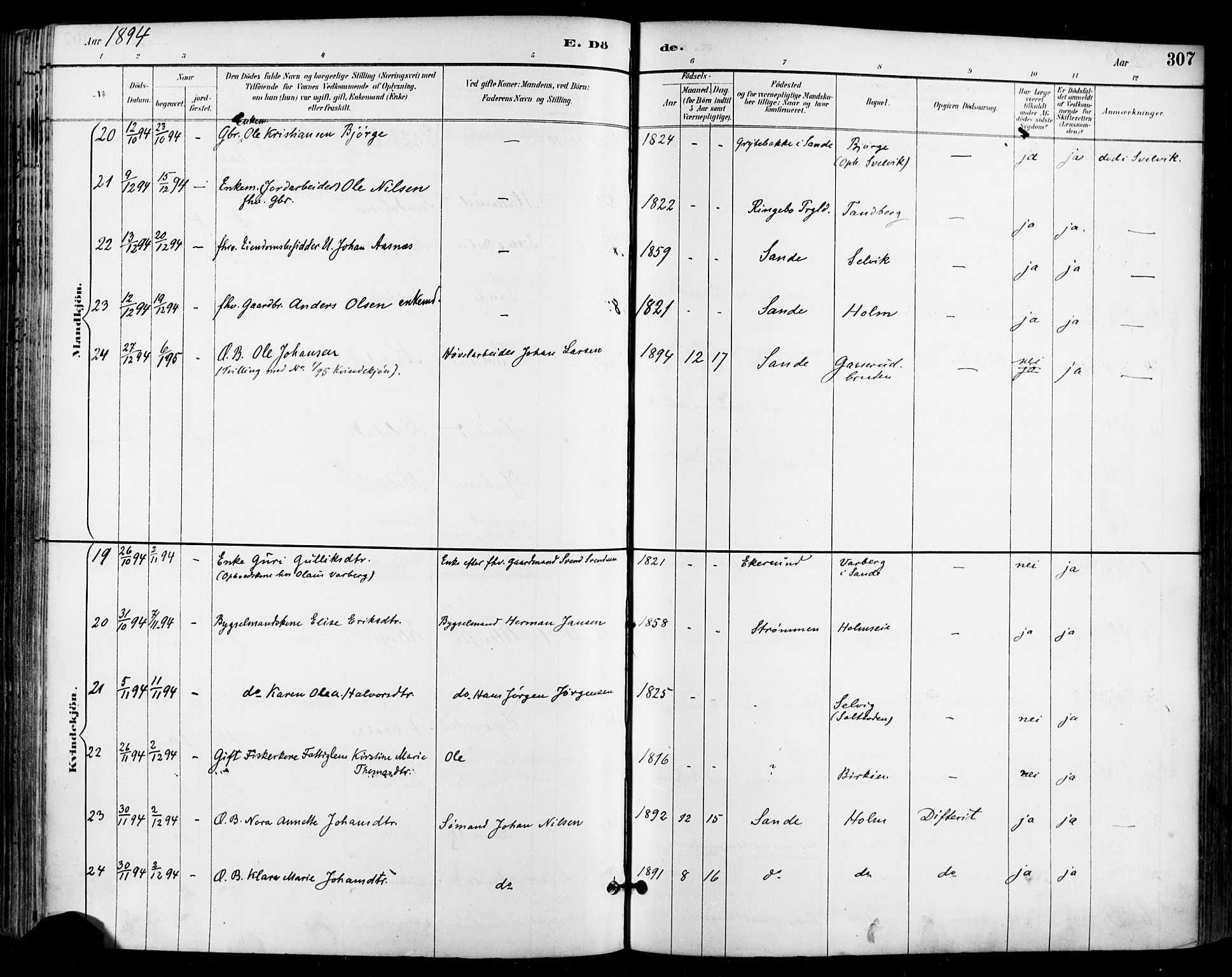 Sande Kirkebøker, AV/SAKO-A-53/F/Fa/L0007: Parish register (official) no. 7, 1888-1903, p. 307