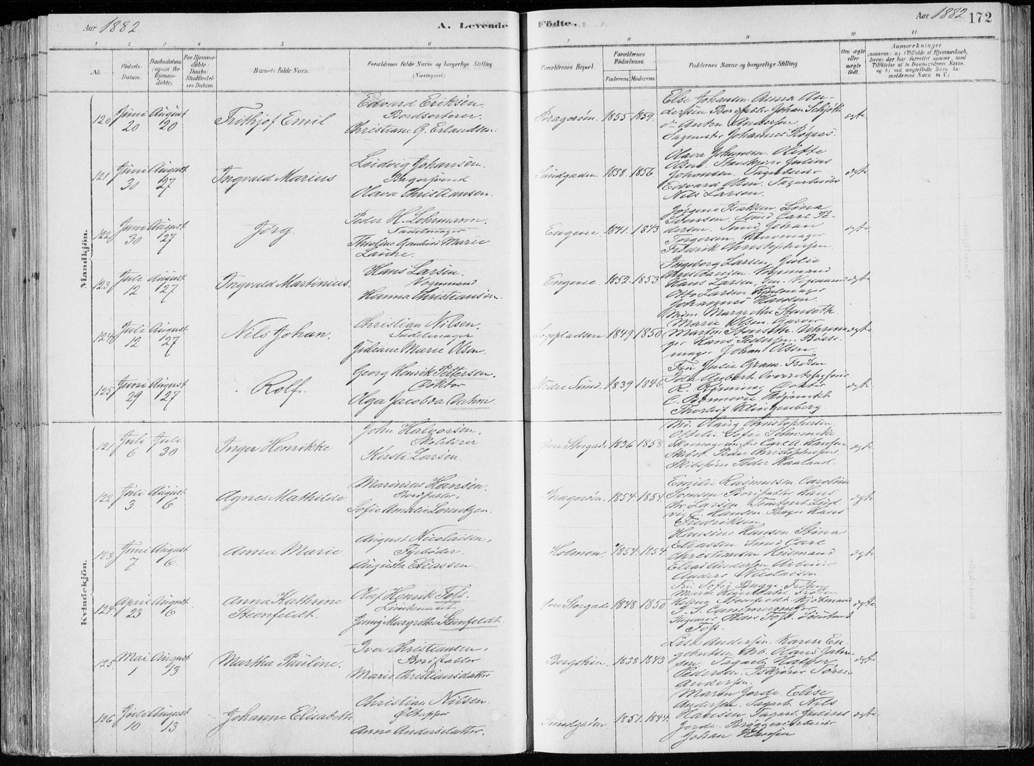Bragernes kirkebøker, SAKO/A-6/F/Fb/L0006a: Parish register (official) no. II 6A, 1878-1885, p. 172