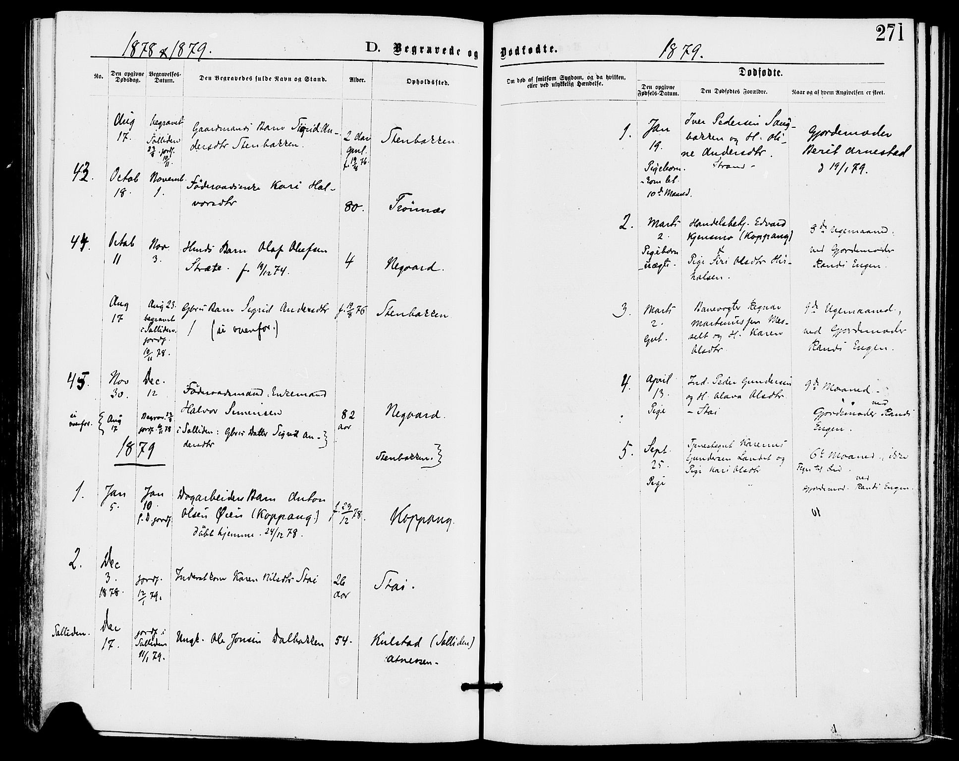 Stor-Elvdal prestekontor, AV/SAH-PREST-052/H/Ha/Haa/L0001: Parish register (official) no. 1, 1871-1882, p. 271