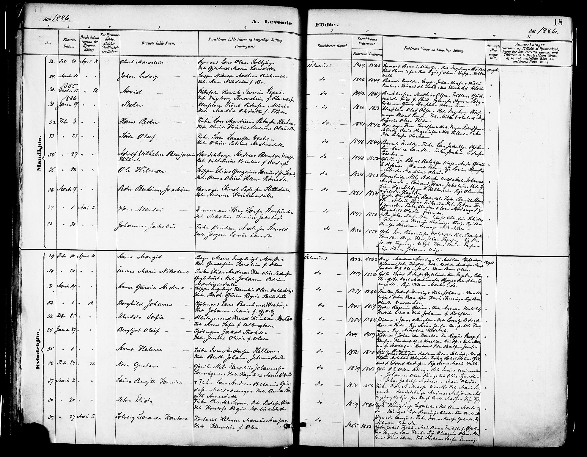 Ministerialprotokoller, klokkerbøker og fødselsregistre - Møre og Romsdal, AV/SAT-A-1454/529/L0455: Parish register (official) no. 529A05, 1885-1893, p. 18