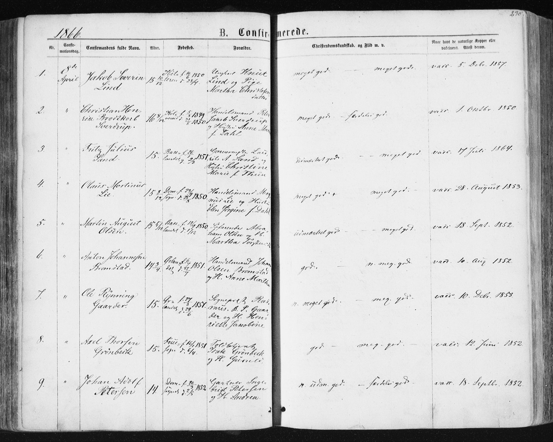 Ministerialprotokoller, klokkerbøker og fødselsregistre - Sør-Trøndelag, SAT/A-1456/604/L0186: Parish register (official) no. 604A07, 1866-1877, p. 230
