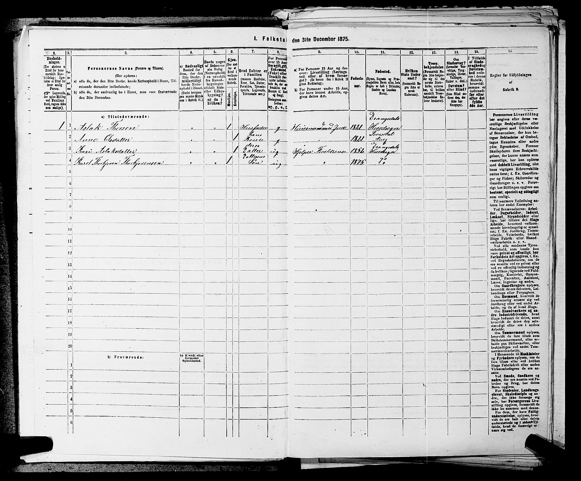 SAKO, 1875 census for 0817P Drangedal, 1875, p. 88