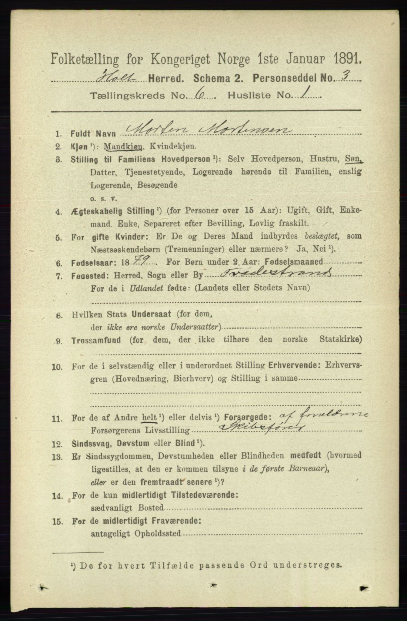 RA, 1891 census for 0914 Holt, 1891, p. 2999