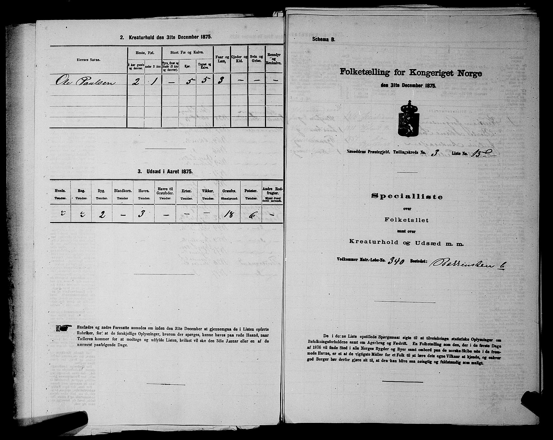 RA, 1875 census for 0216P Nesodden, 1875, p. 428