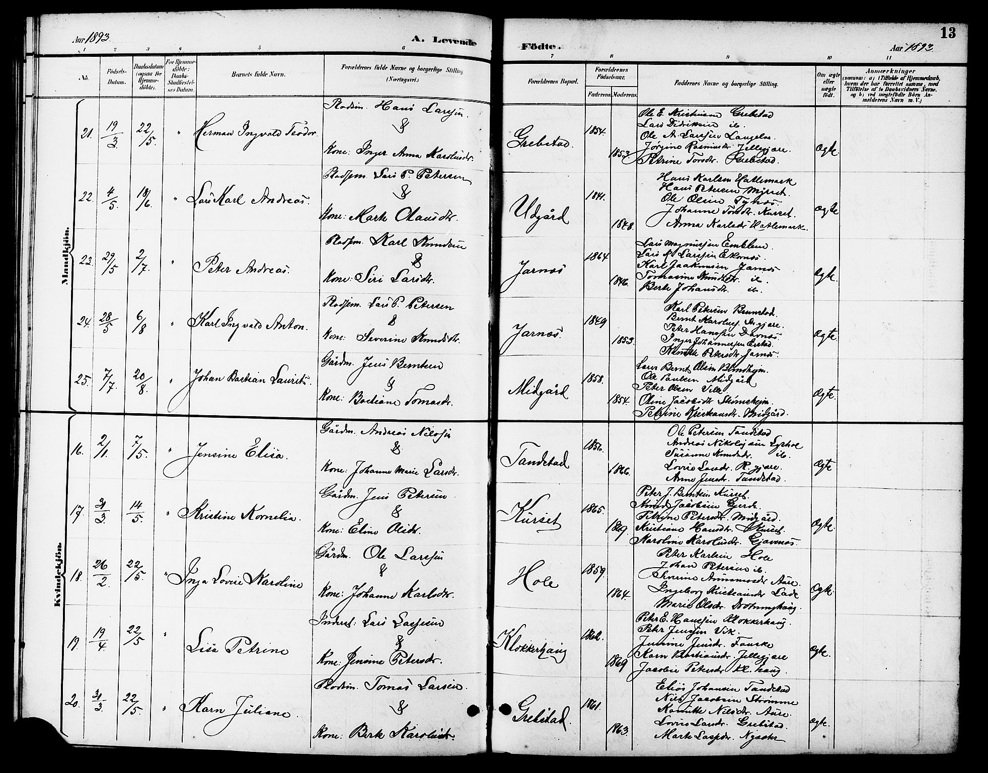 Ministerialprotokoller, klokkerbøker og fødselsregistre - Møre og Romsdal, AV/SAT-A-1454/523/L0340: Parish register (copy) no. 523C03, 1892-1902, p. 13