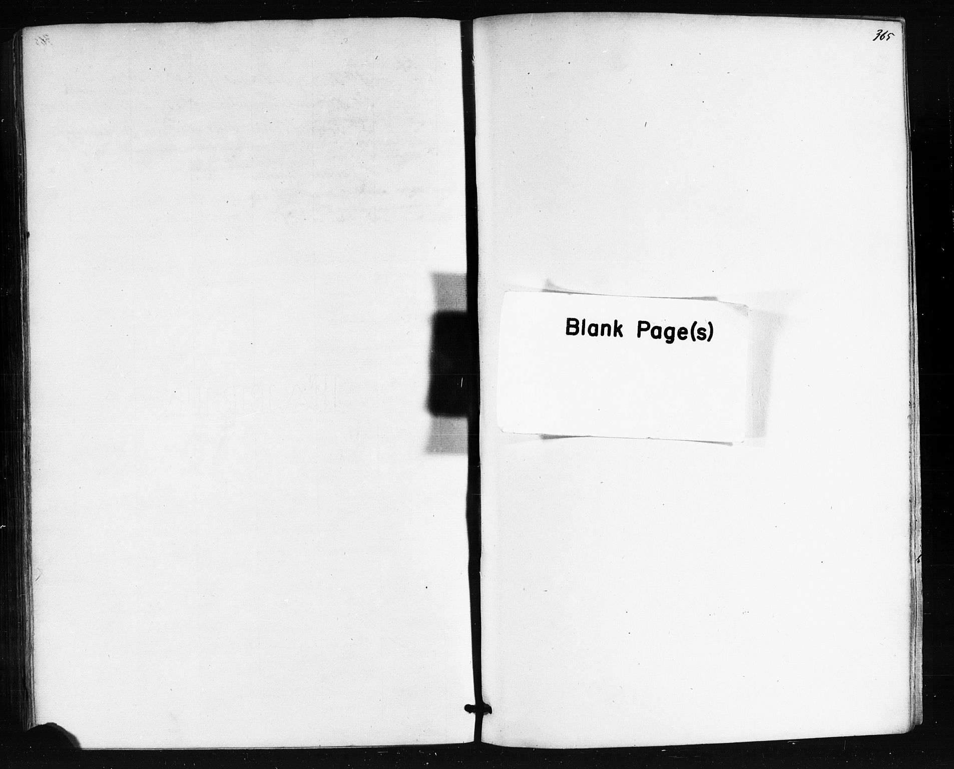 Ministerialprotokoller, klokkerbøker og fødselsregistre - Nordland, AV/SAT-A-1459/841/L0607: Parish register (official) no. 841A11 /1, 1863-1877, p. 365