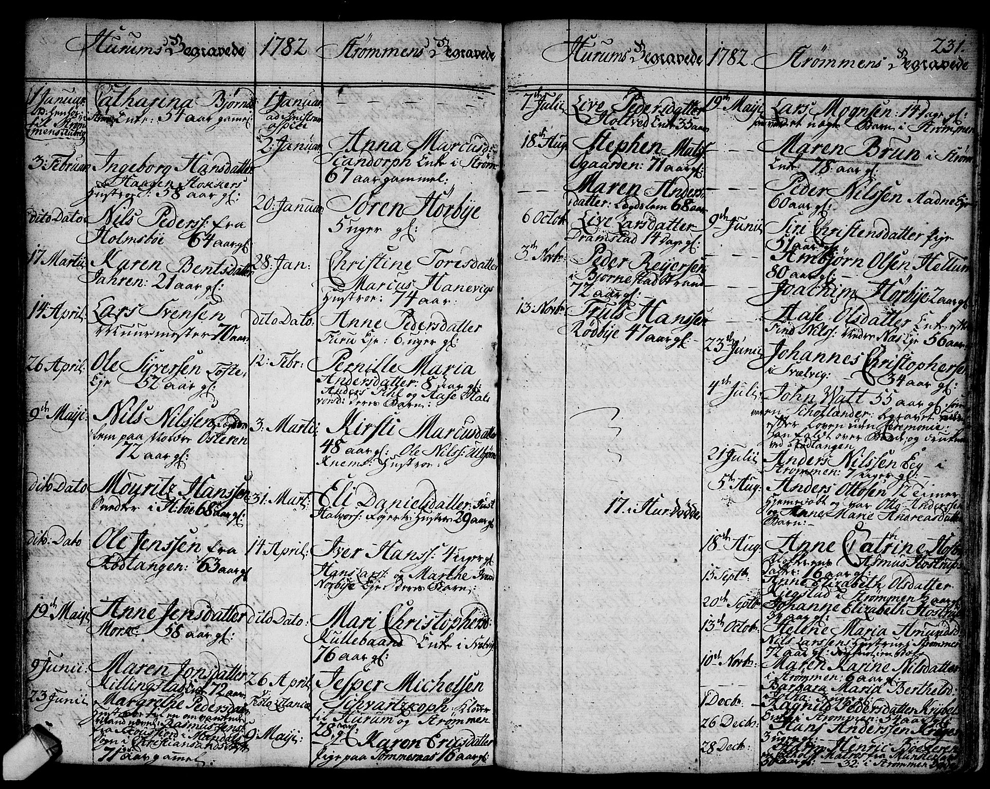 Hurum kirkebøker, AV/SAKO-A-229/F/Fa/L0007: Parish register (official) no. 7, 1771-1810, p. 231