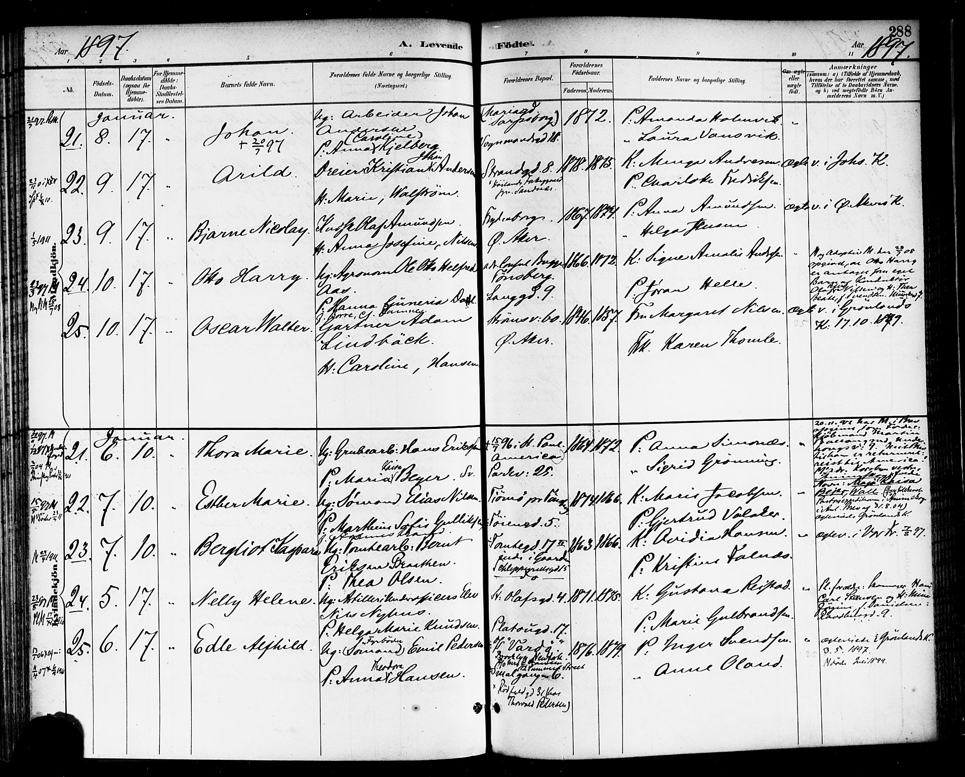 Rikshospitalet prestekontor Kirkebøker, SAO/A-10309b/F/L0009: Parish register (official) no. 9, 1894-1897, p. 288