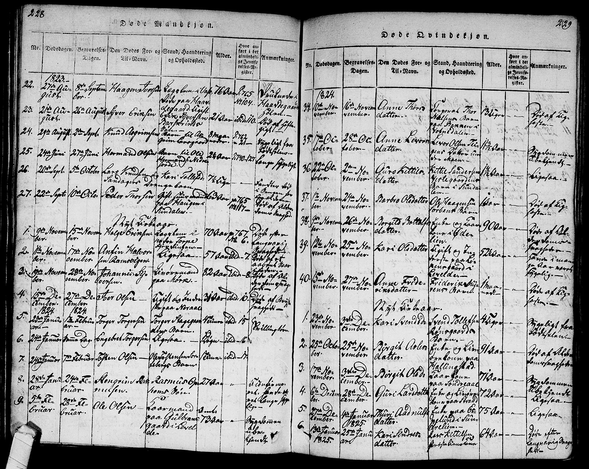 Ål kirkebøker, AV/SAKO-A-249/G/Ga/L0001: Parish register (copy) no. 1, 1815-1829, p. 228-229