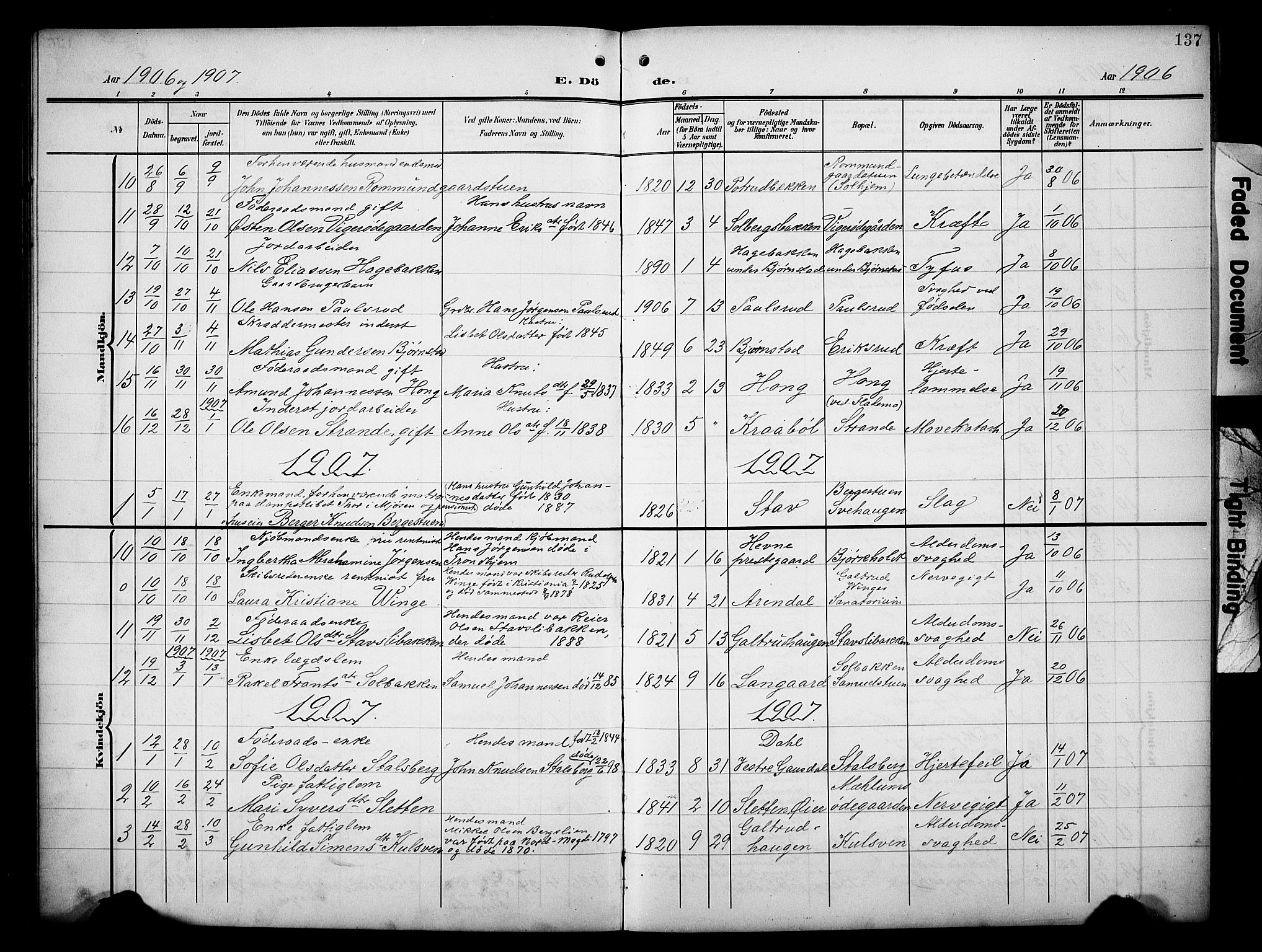 Øyer prestekontor, AV/SAH-PREST-084/H/Ha/Hab/L0006: Parish register (copy) no. 6, 1906-1929, p. 137