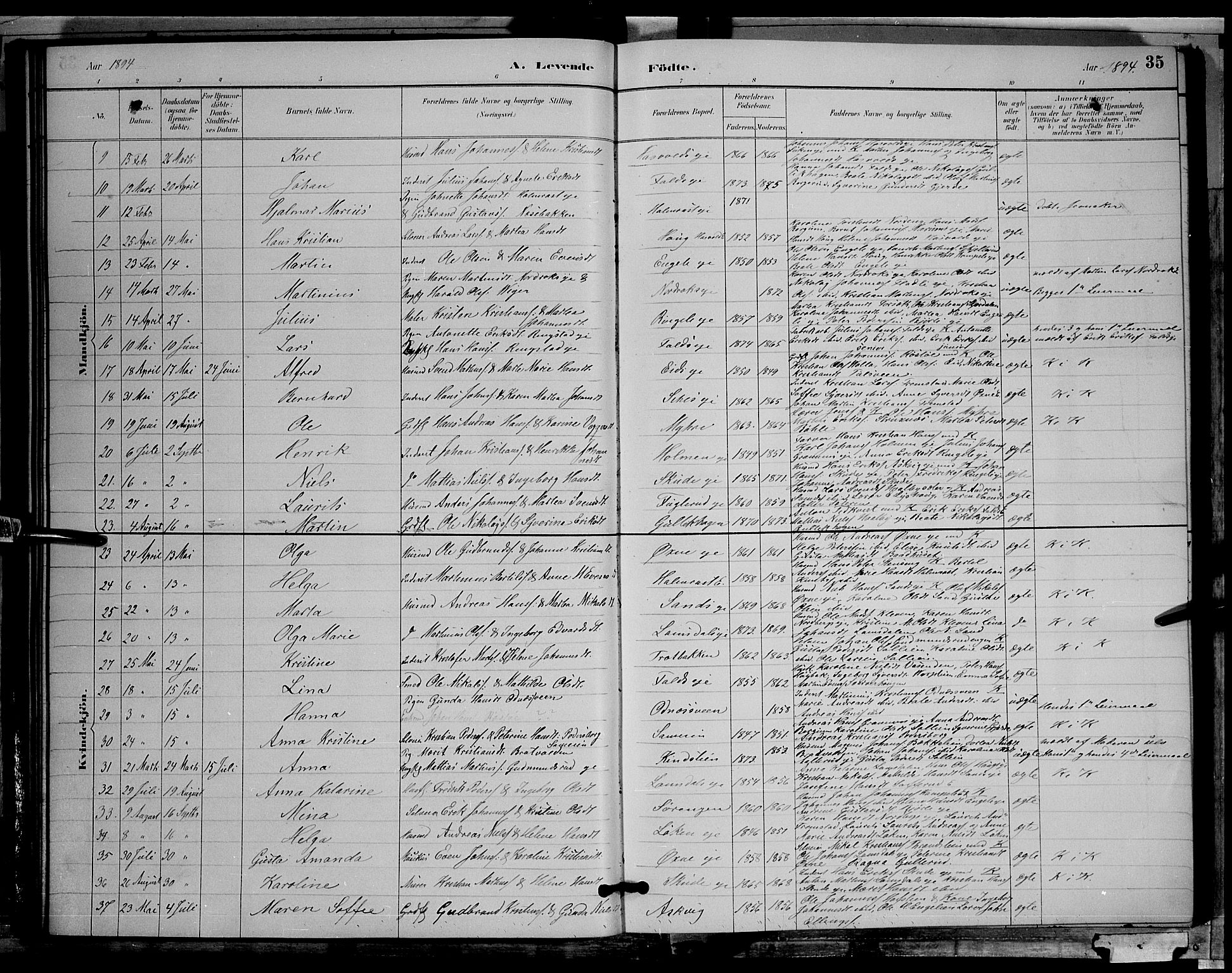 Søndre Land prestekontor, AV/SAH-PREST-122/L/L0002: Parish register (copy) no. 2, 1884-1900, p. 35