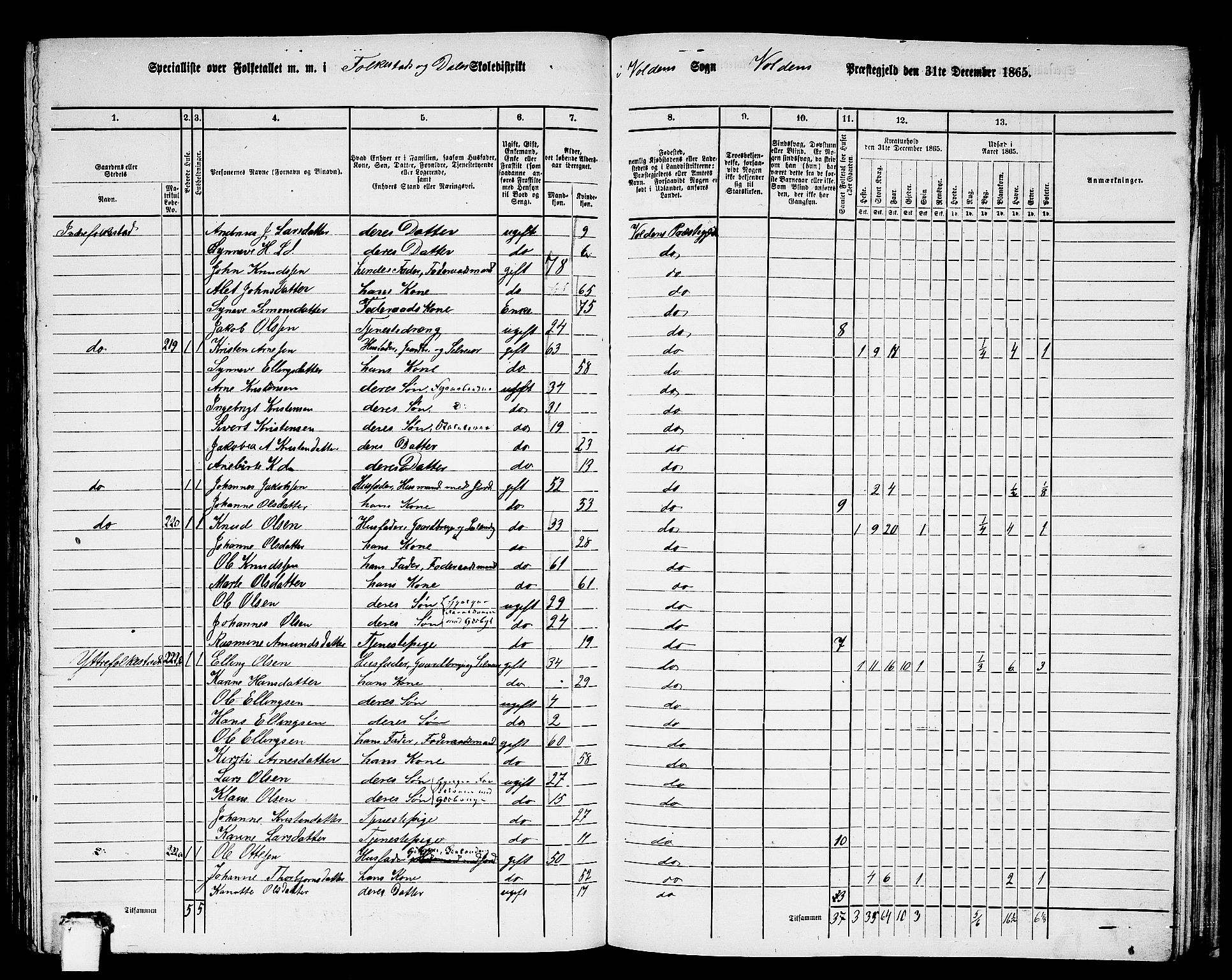 RA, 1865 census for Volda, 1865, p. 124