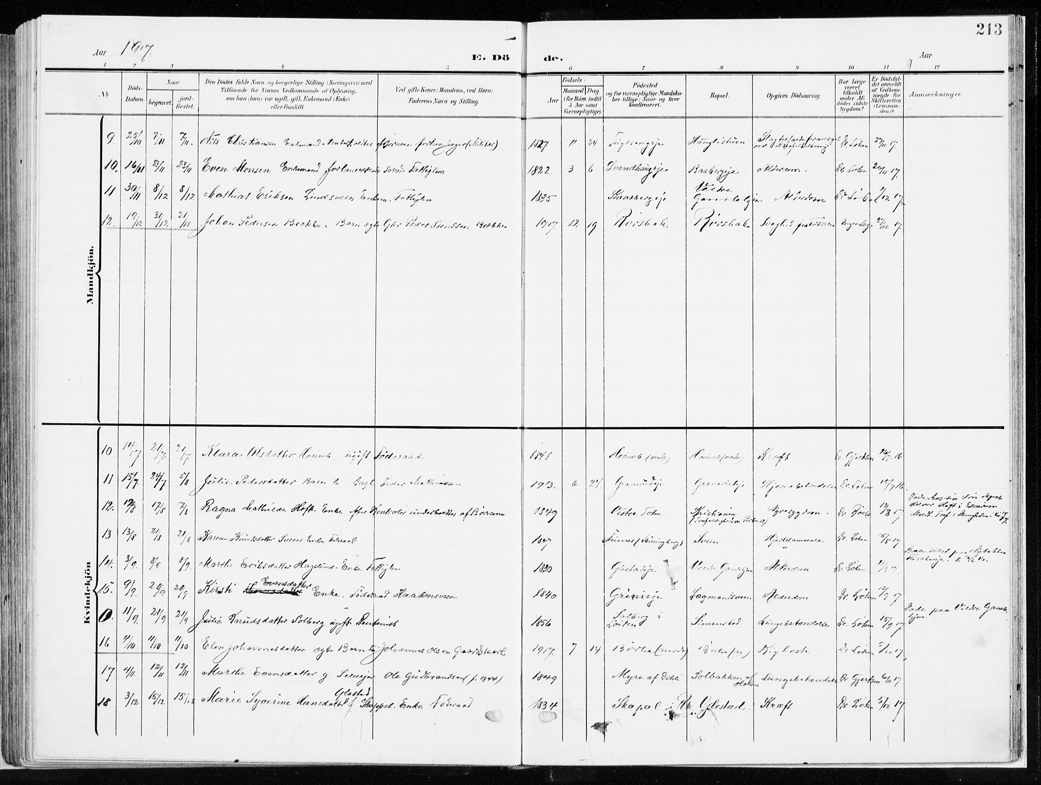 Ringsaker prestekontor, SAH/PREST-014/K/Ka/L0019: Parish register (official) no. 19, 1905-1920, p. 213