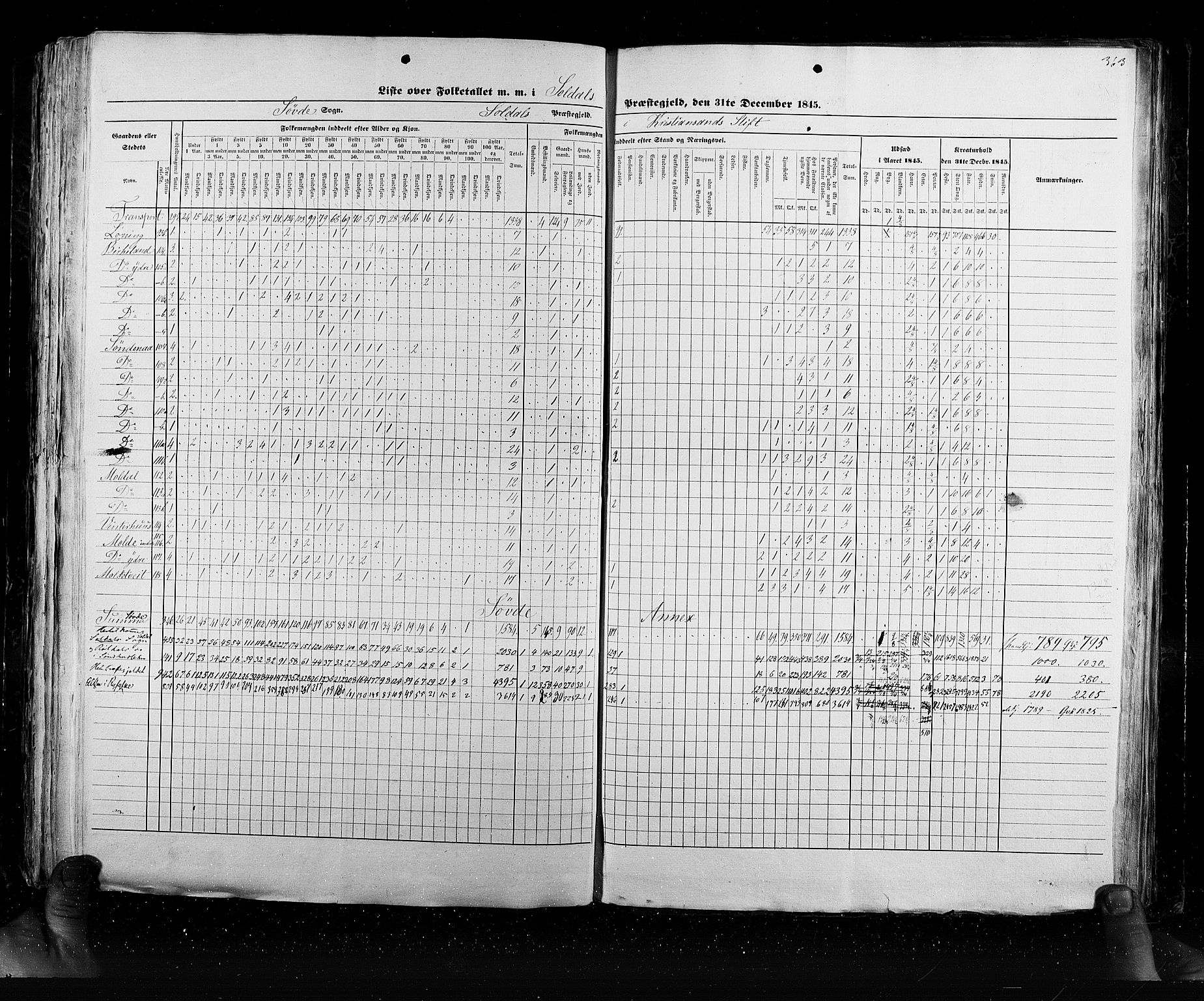 RA, Census 1845, vol. 6: Lister og Mandal amt og Stavanger amt, 1845, p. 363