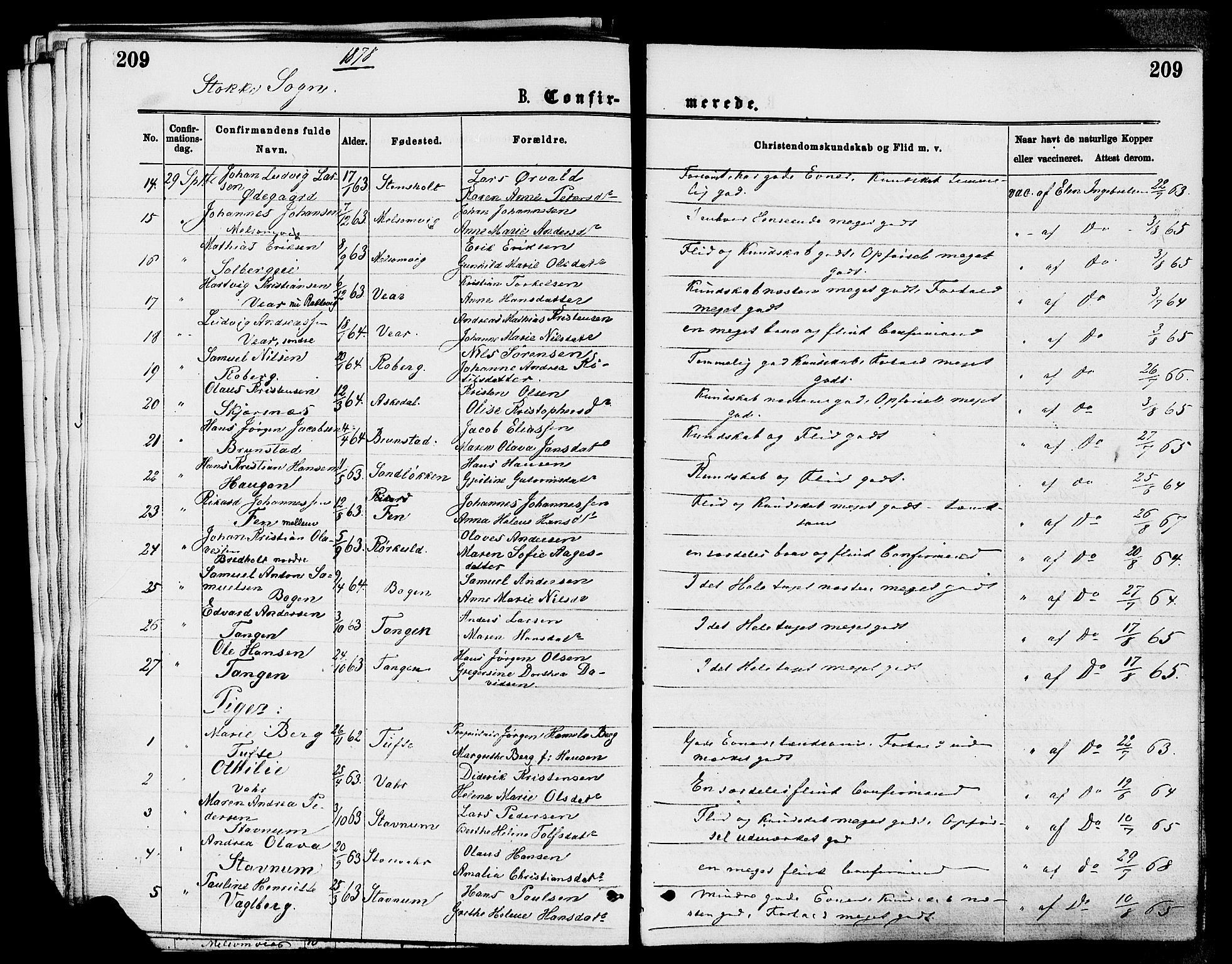 Stokke kirkebøker, AV/SAKO-A-320/F/Fa/L0009: Parish register (official) no. I 9, 1872-1883, p. 209