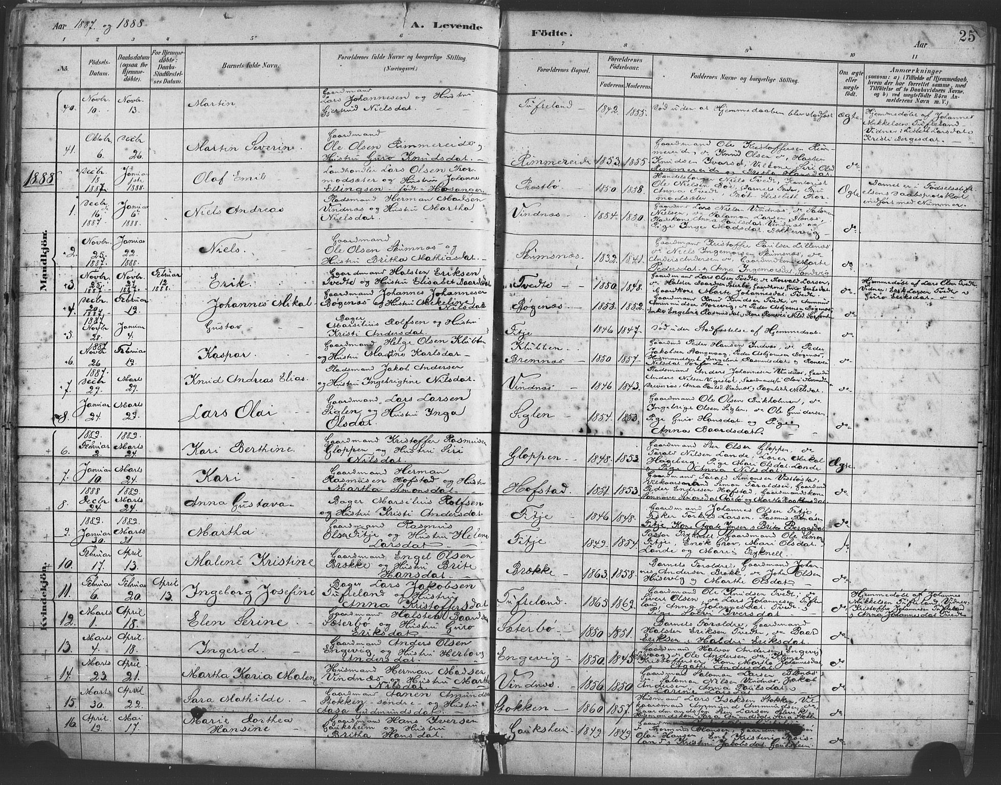Fitjar sokneprestembete, SAB/A-99926: Parish register (official) no. A 2, 1882-1899, p. 25