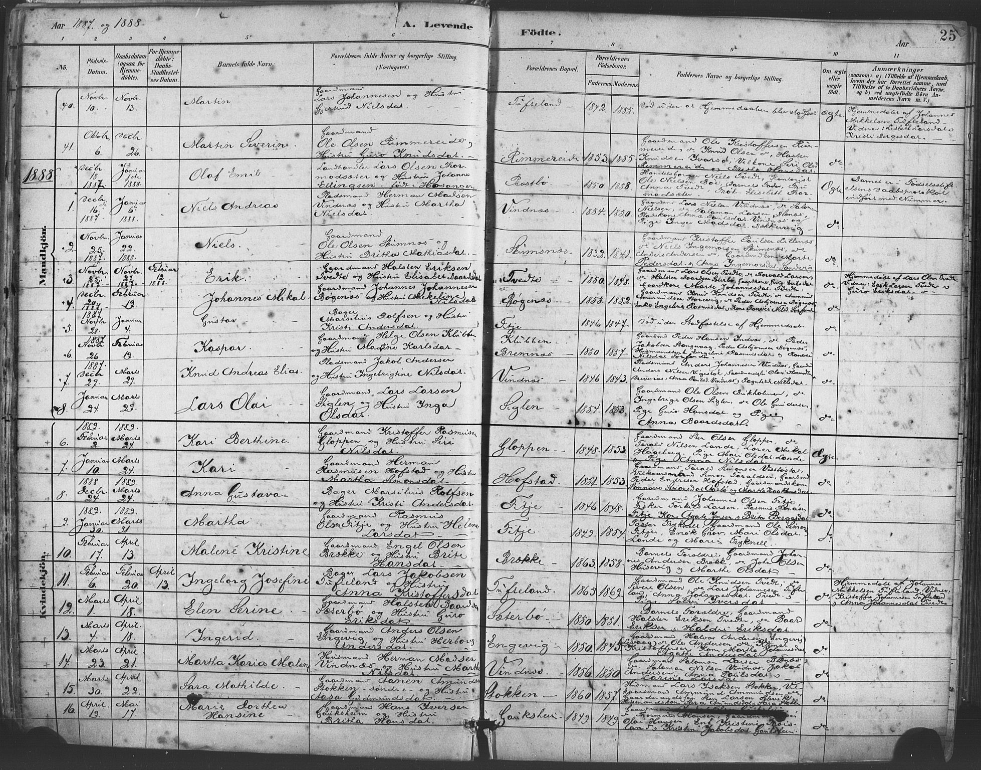 Fitjar sokneprestembete, AV/SAB-A-99926: Parish register (official) no. A 2, 1882-1899, p. 25