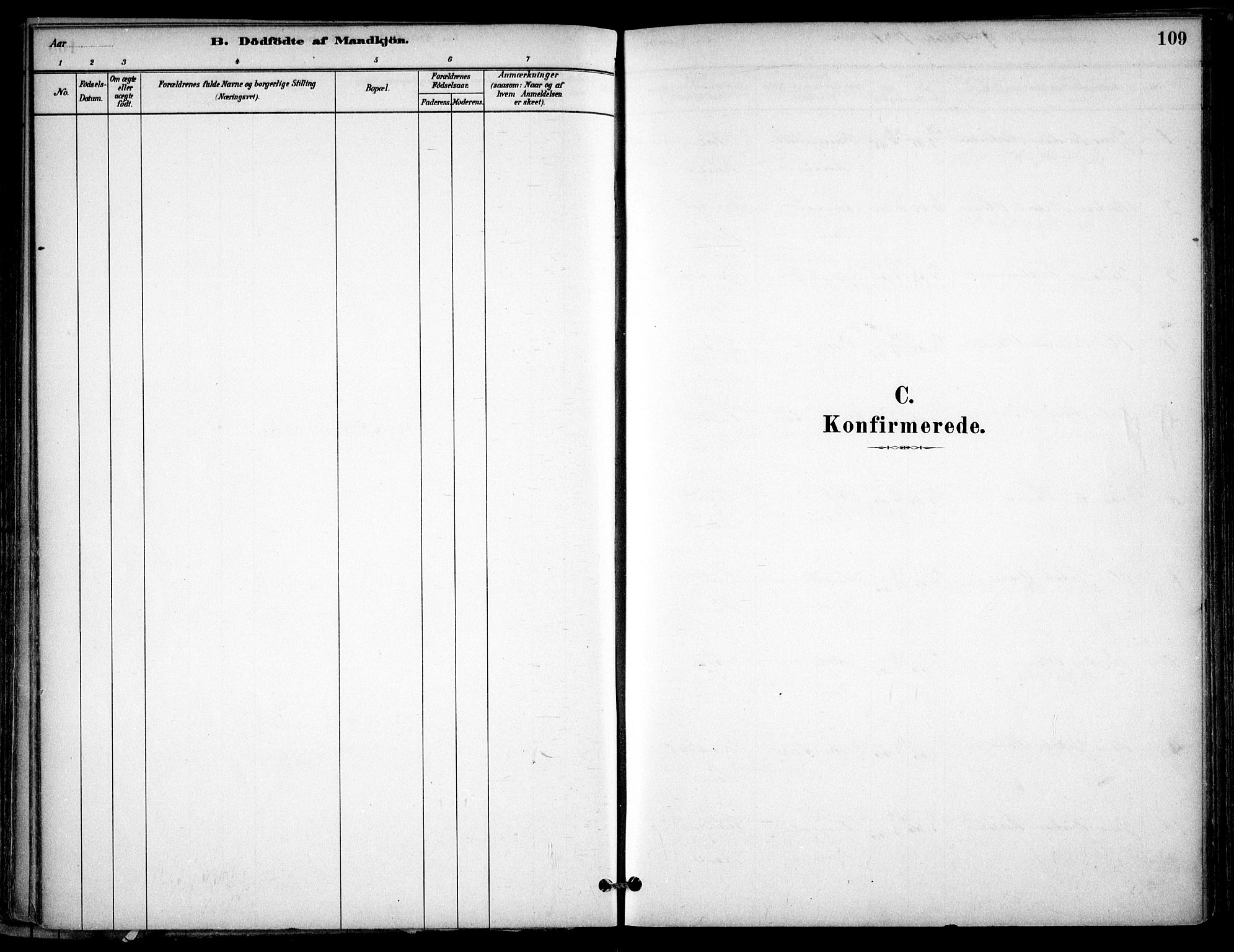 Gjerdrum prestekontor Kirkebøker, SAO/A-10412b/F/Fb/L0001: Parish register (official) no. II 1, 1881-1921, p. 109