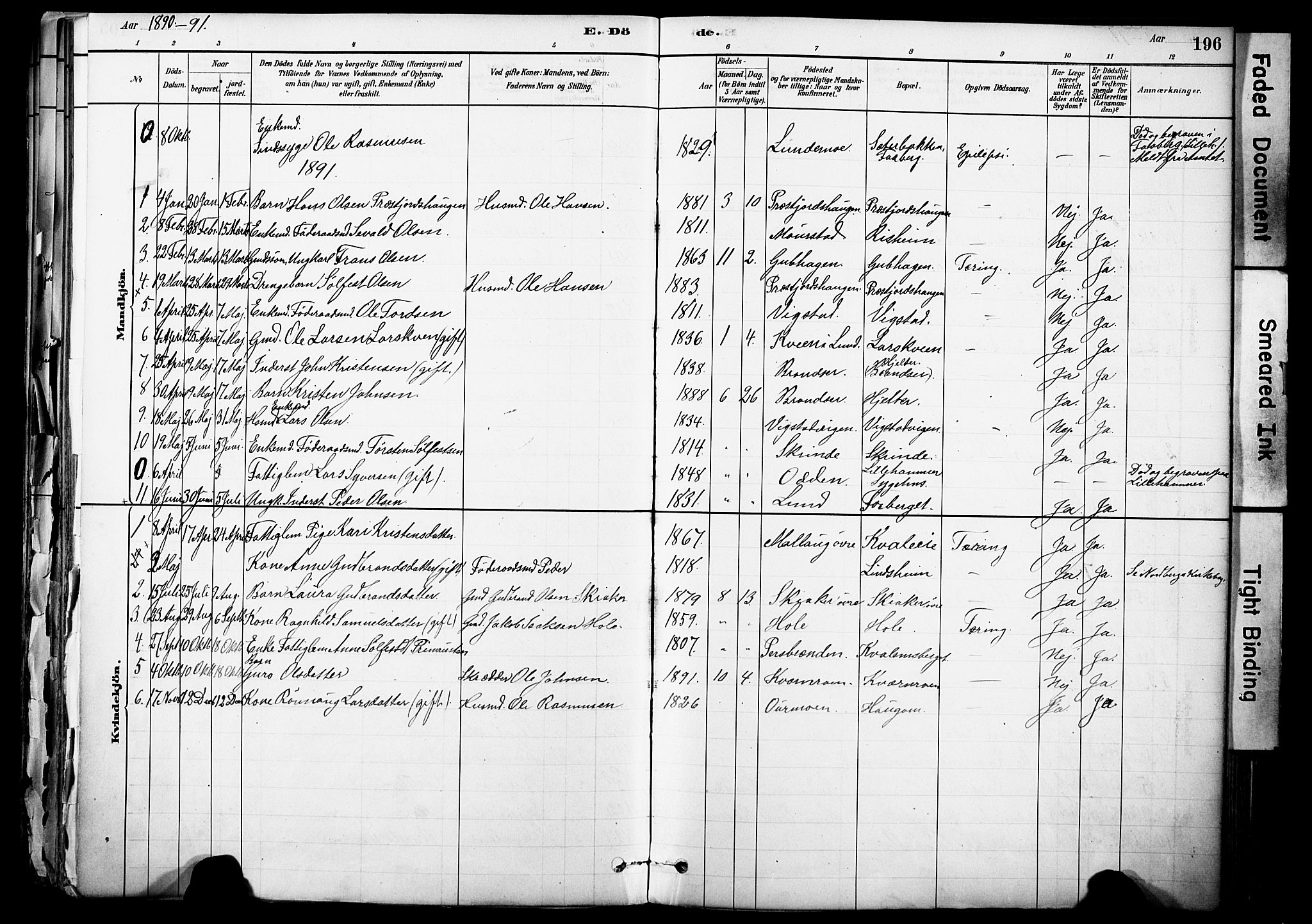 Skjåk prestekontor, SAH/PREST-072/H/Ha/Haa/L0003: Parish register (official) no. 3, 1880-1907, p. 196