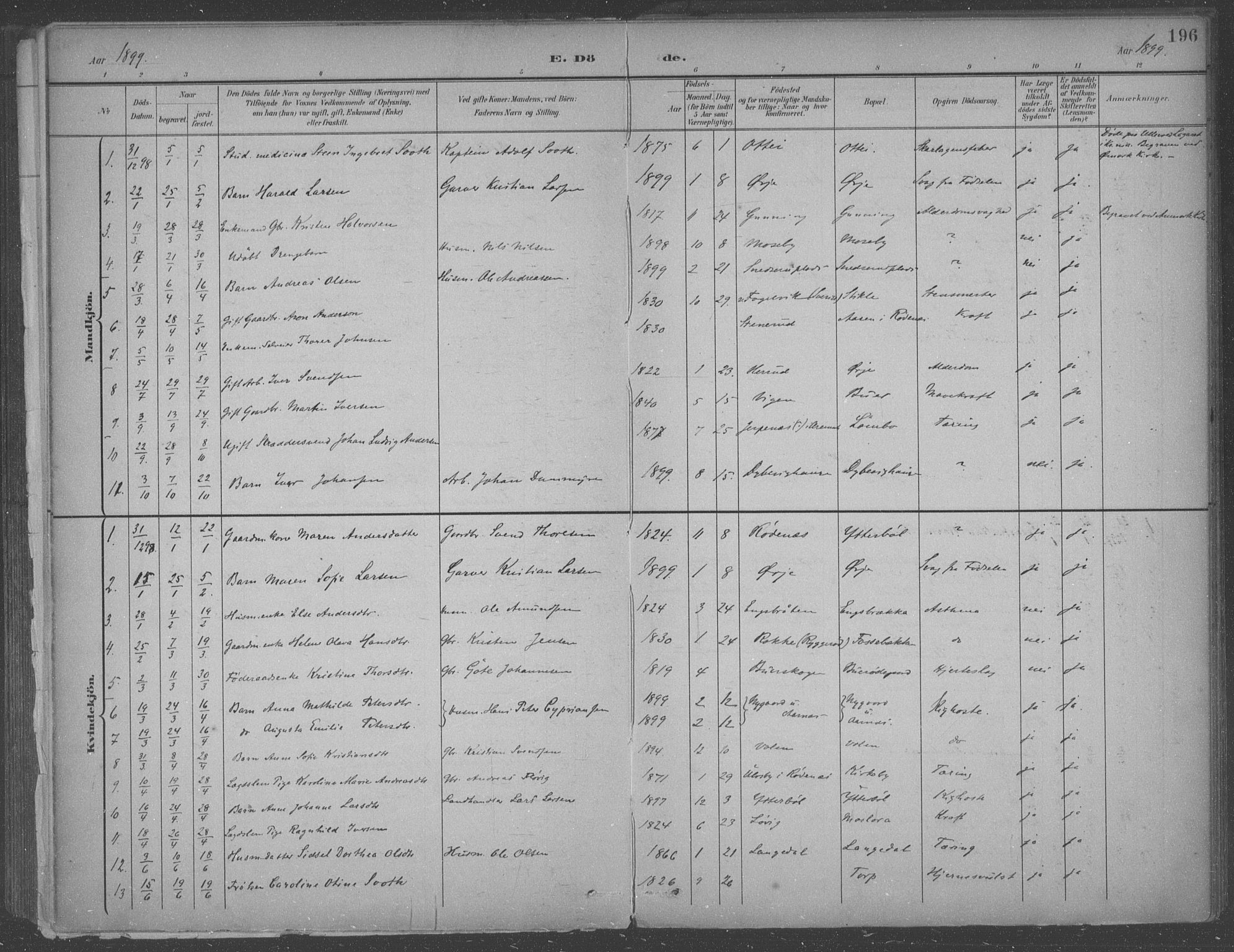 Aremark prestekontor Kirkebøker, SAO/A-10899/F/Fb/L0005: Parish register (official) no. II 5, 1895-1919, p. 196