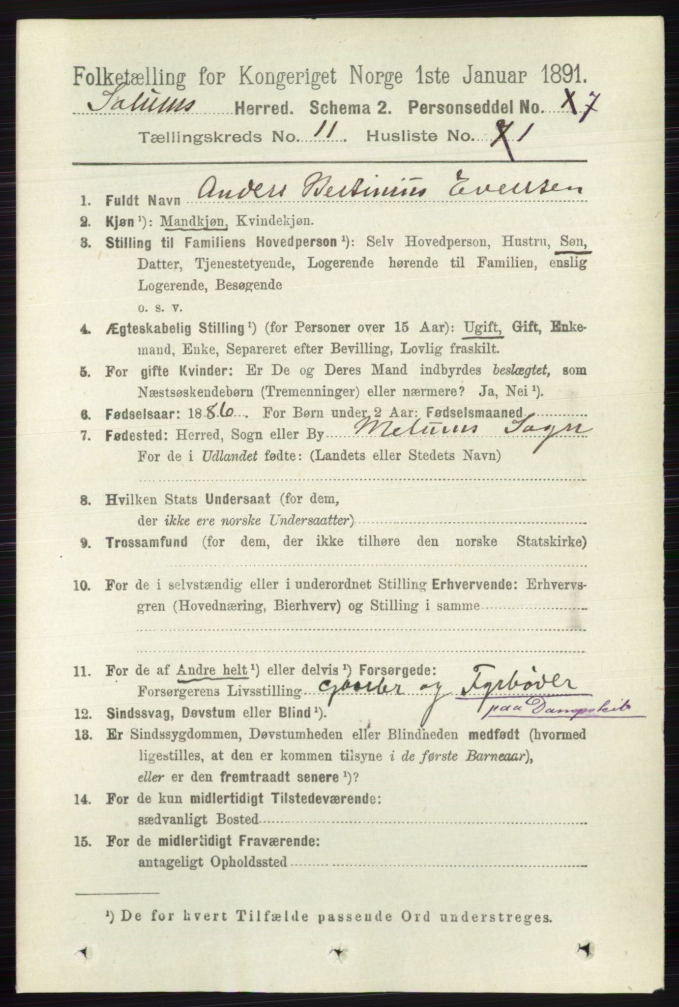 RA, 1891 census for 0818 Solum, 1891, p. 5293