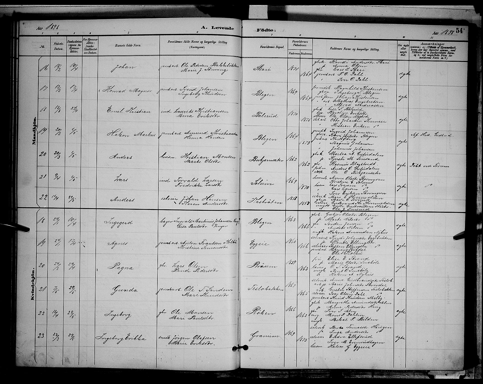 Gran prestekontor, SAH/PREST-112/H/Ha/Hab/L0004: Parish register (copy) no. 4, 1890-1899, p. 54