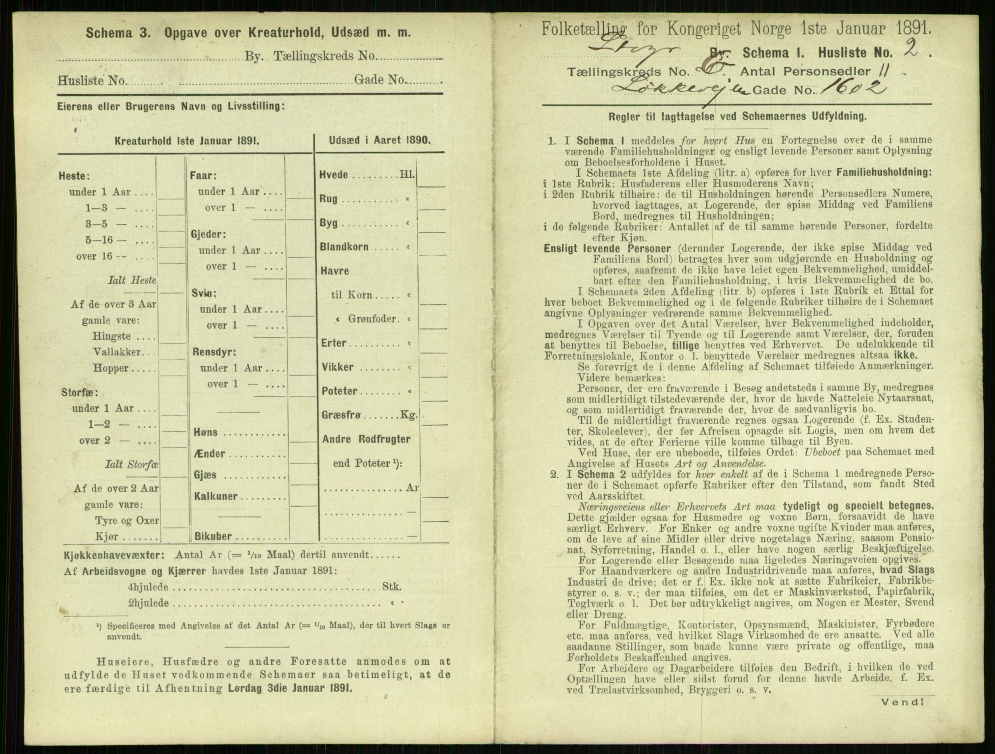 RA, 1891 census for 1103 Stavanger, 1891, p. 1083