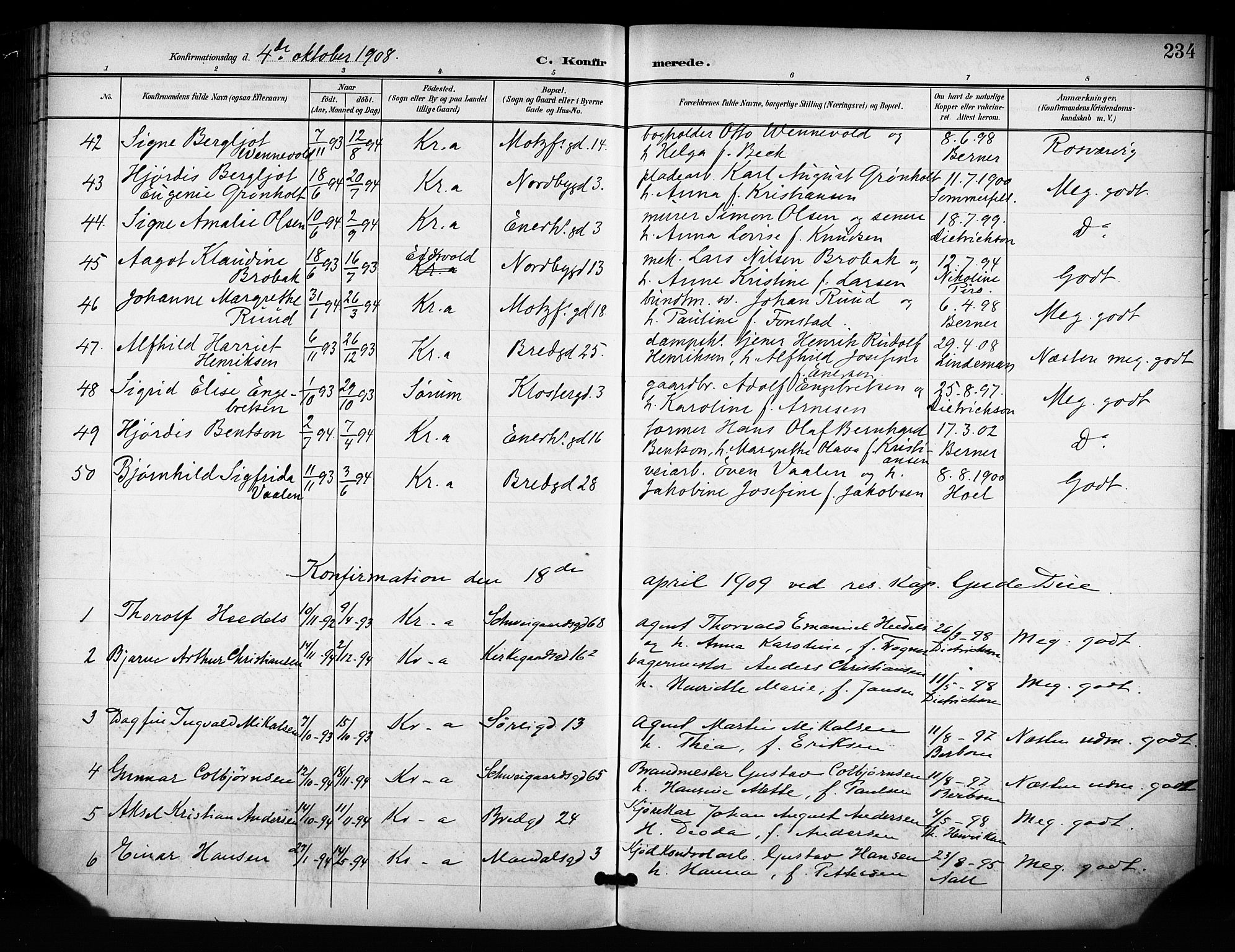 Grønland prestekontor Kirkebøker, SAO/A-10848/F/Fa/L0015: Parish register (official) no. 15, 1899-1919, p. 234
