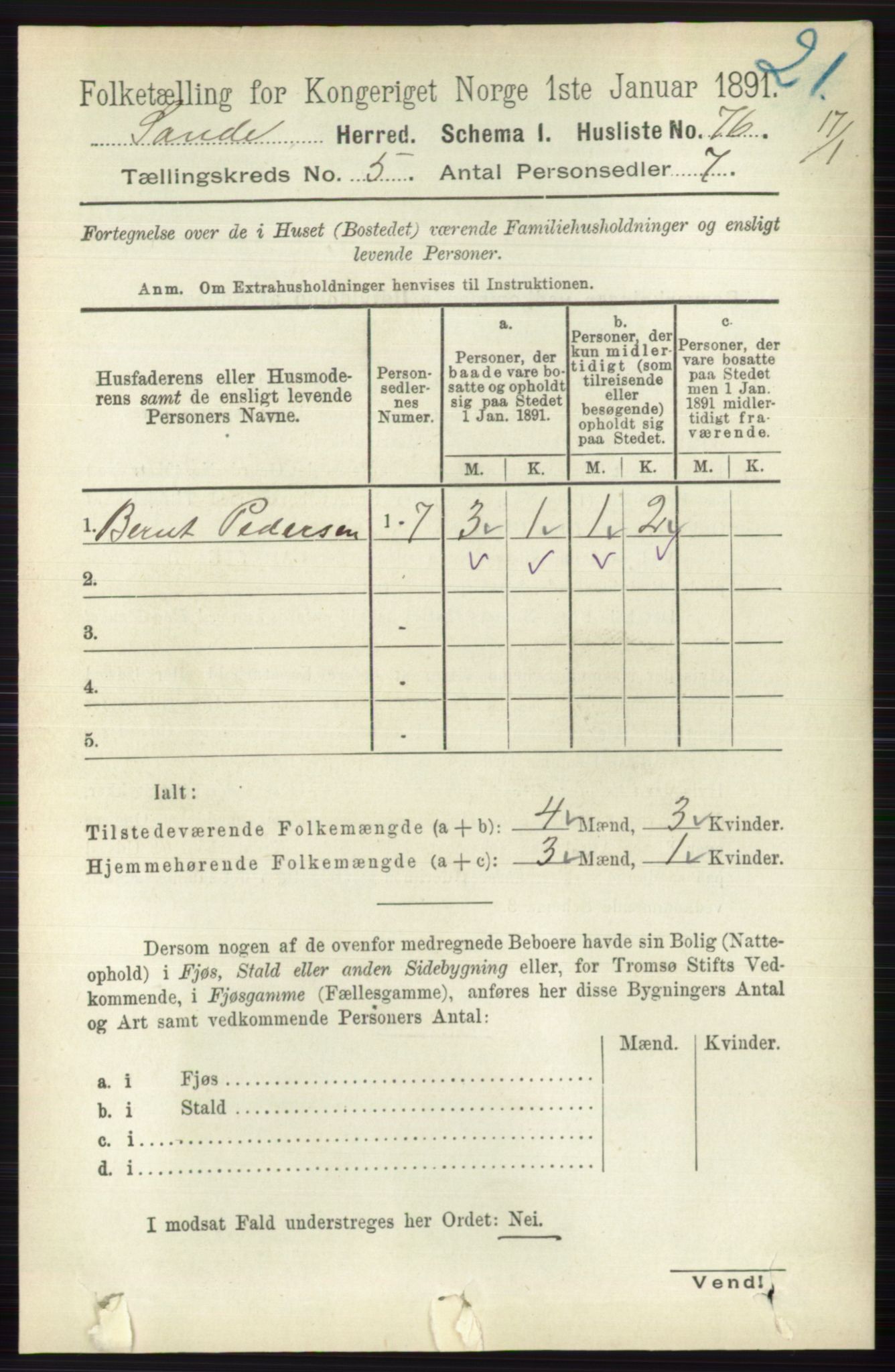 RA, 1891 census for 0713 Sande, 1891, p. 2135