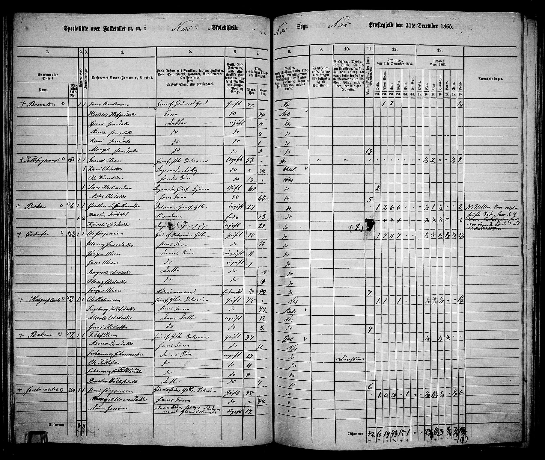 RA, 1865 census for Nes, 1865, p. 155