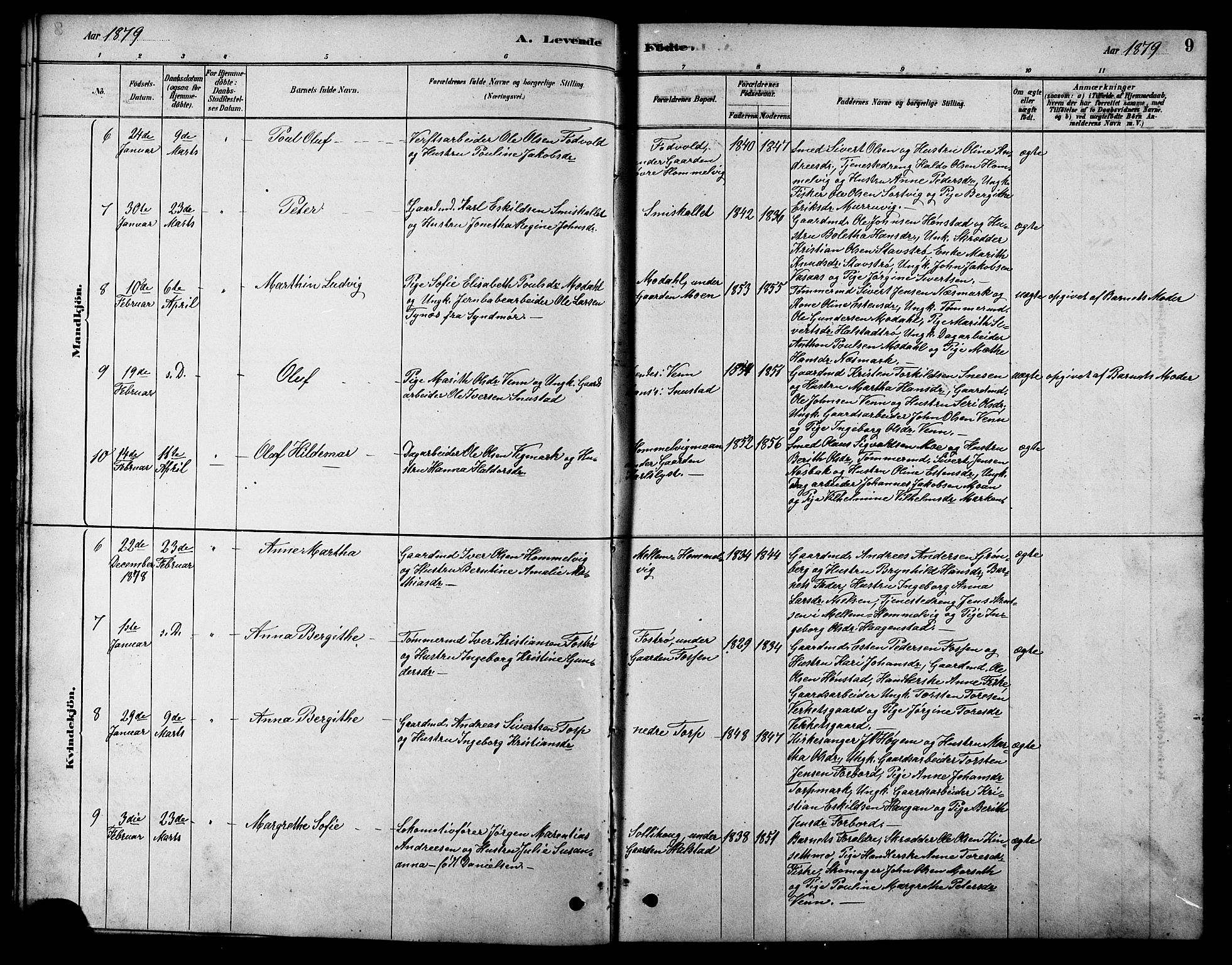 Ministerialprotokoller, klokkerbøker og fødselsregistre - Sør-Trøndelag, SAT/A-1456/616/L0423: Parish register (copy) no. 616C06, 1878-1903, p. 9