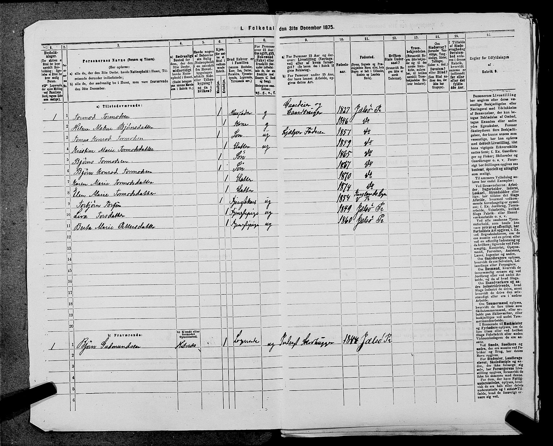 SAST, 1875 census for 1138P Jelsa, 1875, p. 812