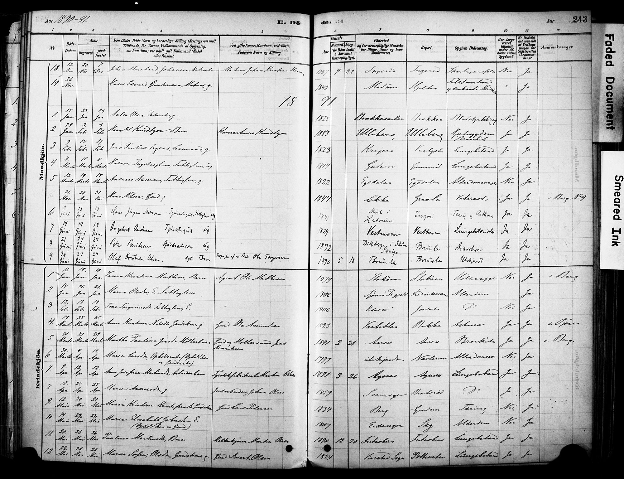 Brunlanes kirkebøker, AV/SAKO-A-342/F/Fc/L0001: Parish register (official) no. III 1, 1878-1899, p. 243